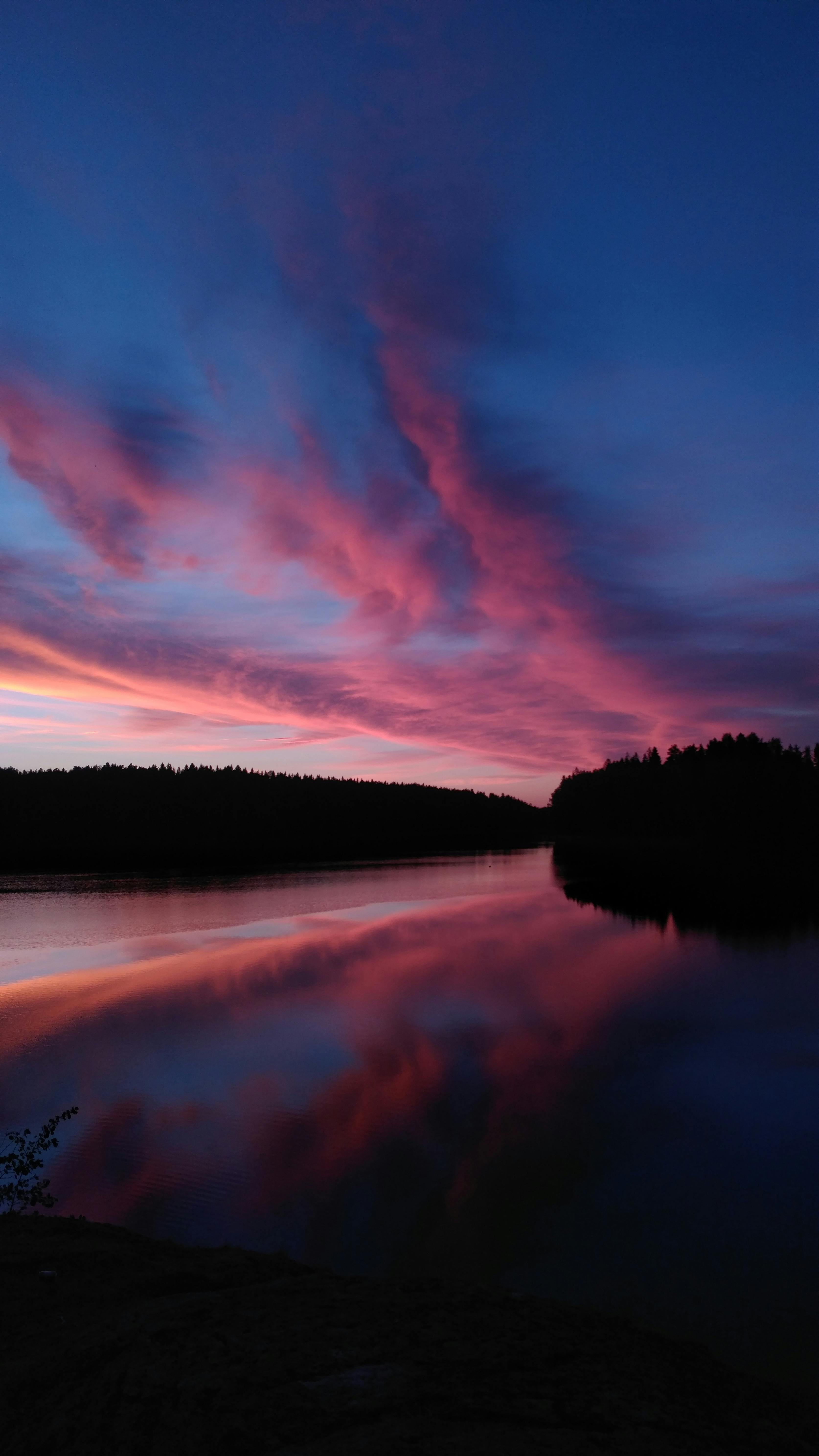 Pink Sunset Over Lake and Forest