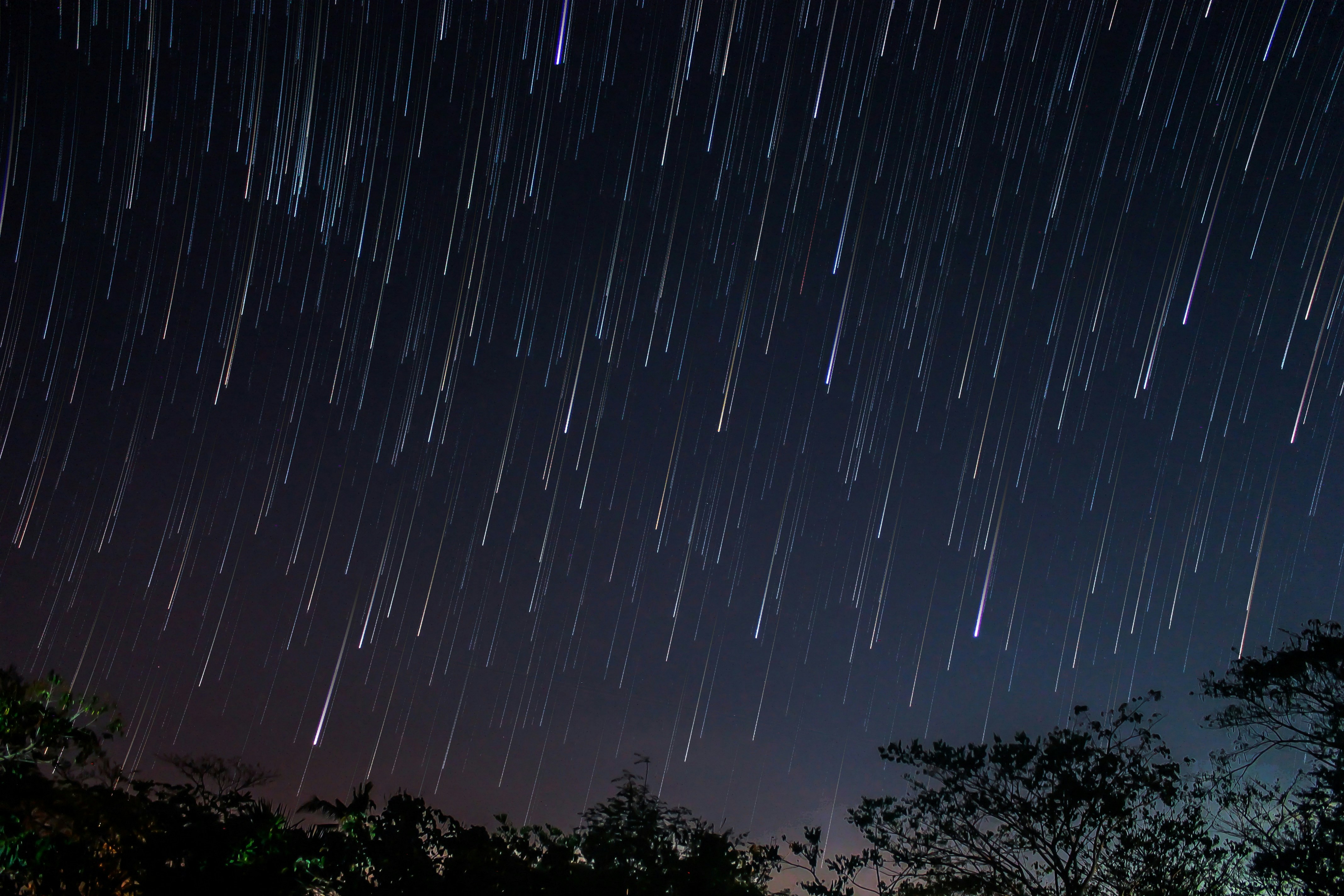 Night Sky Star Trails Over Trees