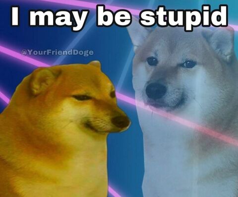 I May Be Stupid Doge Meme