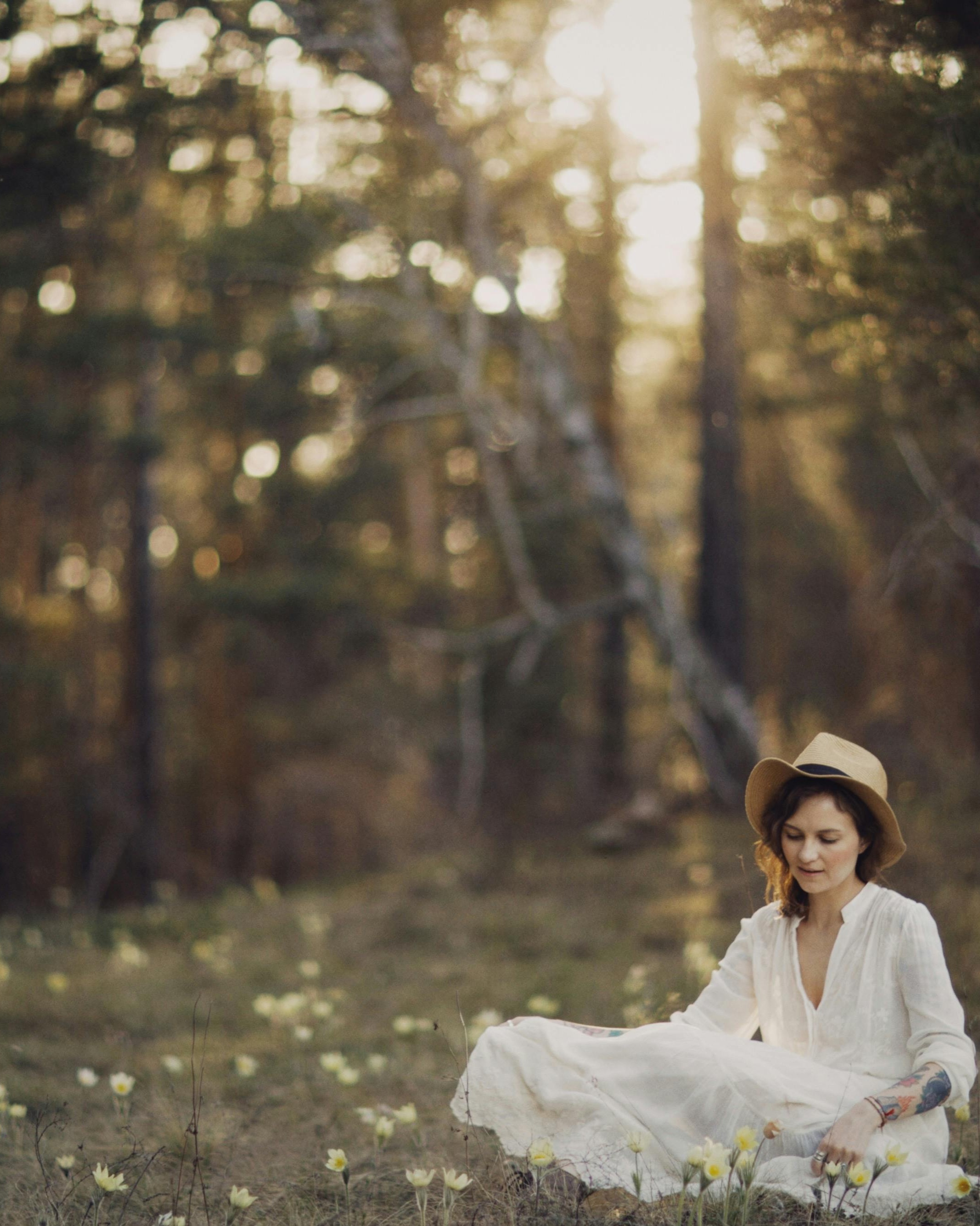 Forest & Flora