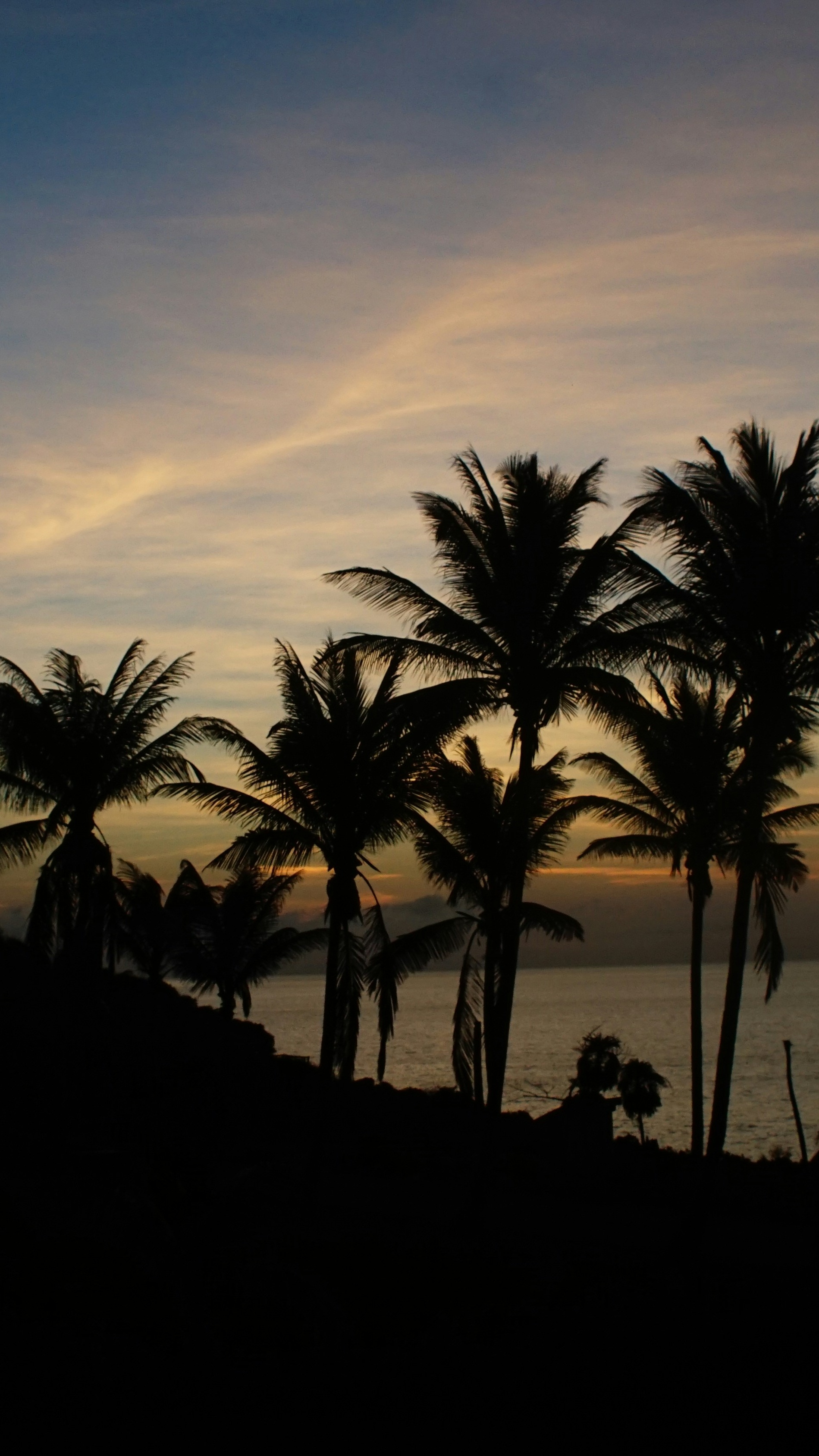 Silhouetted Palm Trees At Sunset