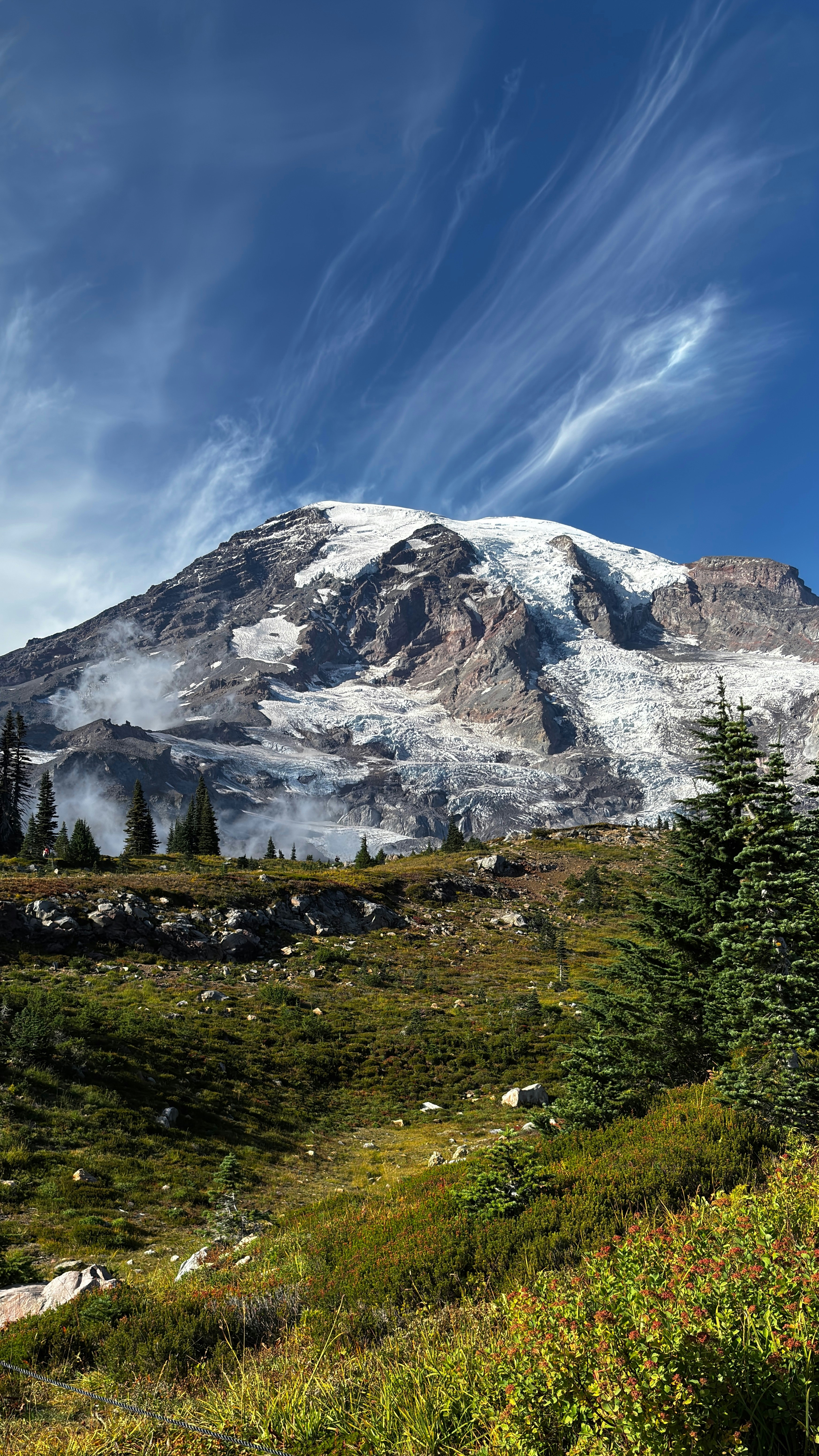 Mount Rainier Alpine Landscape