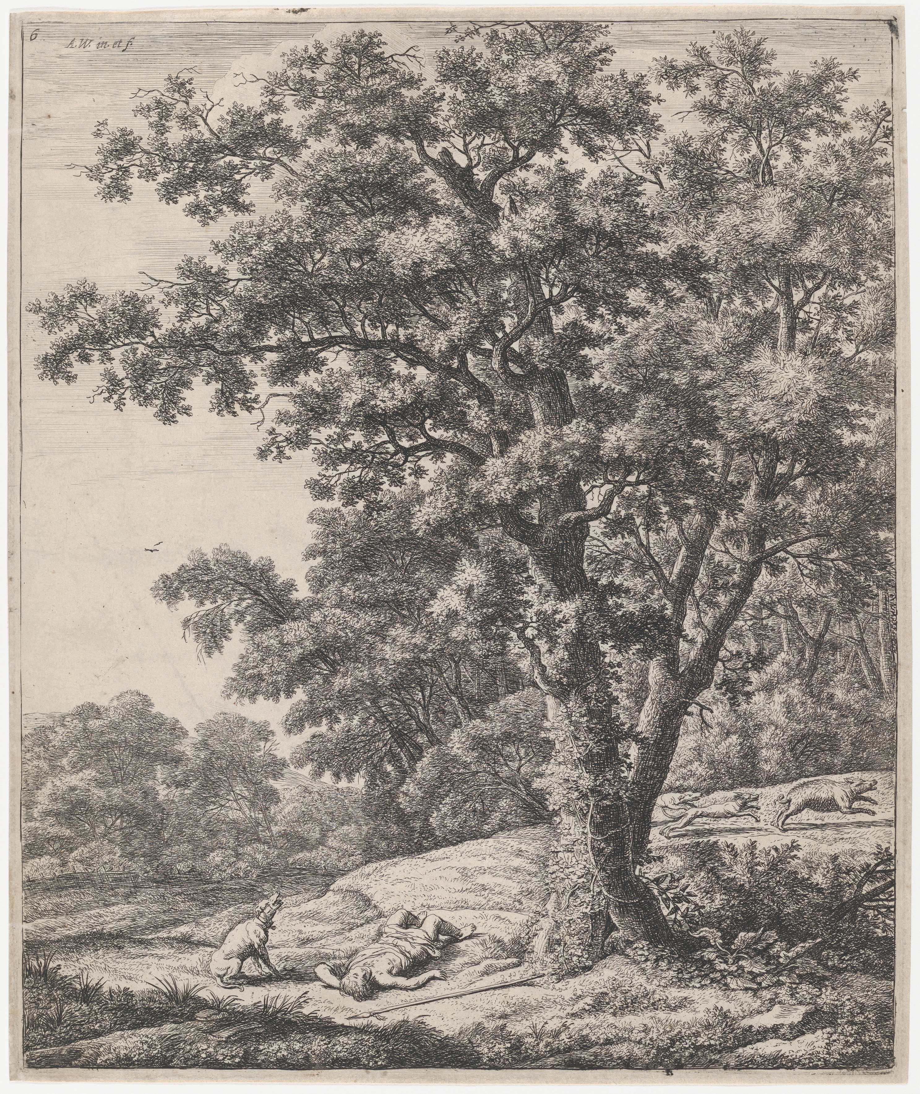 Dead Hunter in Forest Landscape