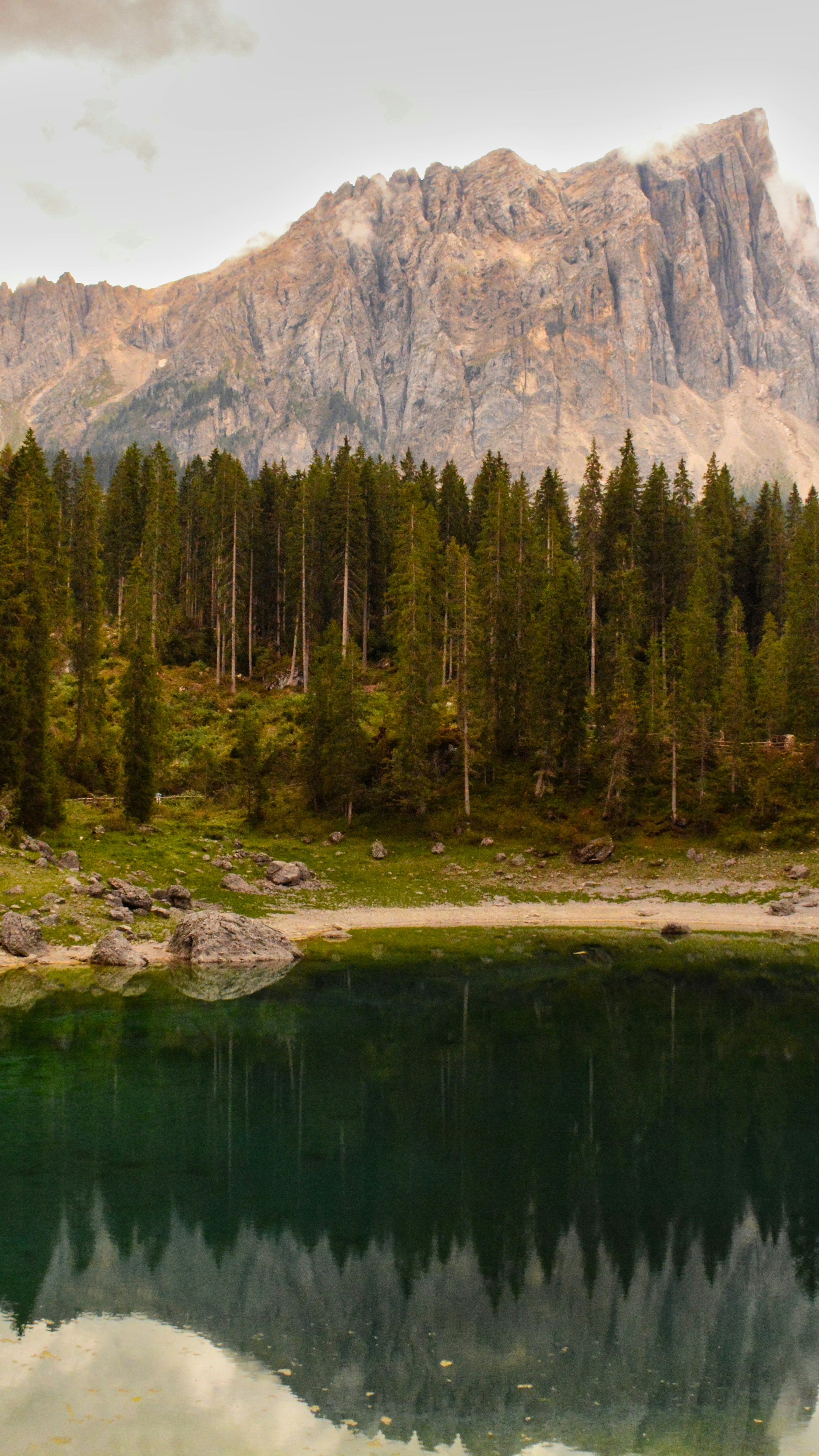 Mountain Lake With Forest Reflection
