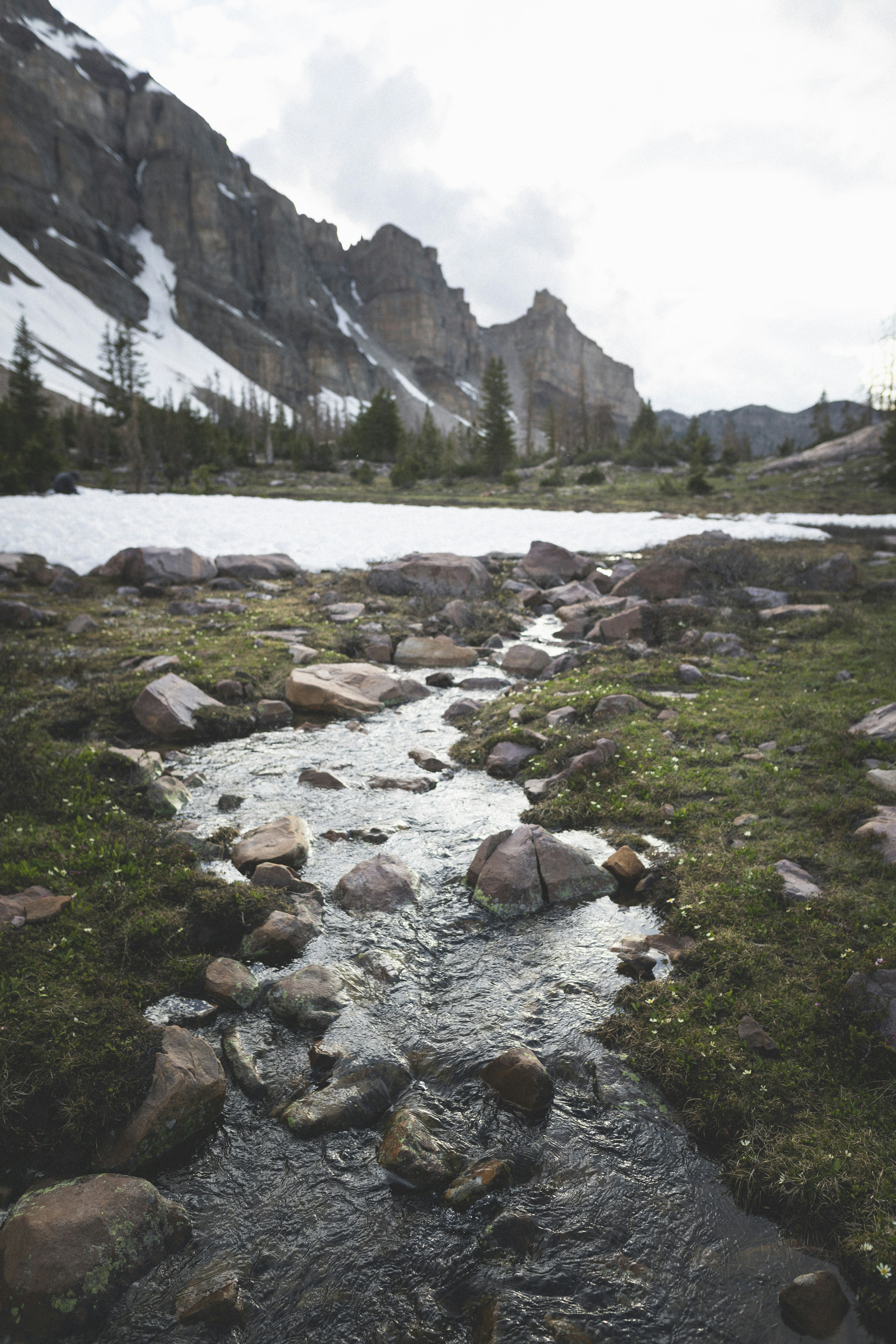 Mountain Stream Beneath Snowy Cliffs