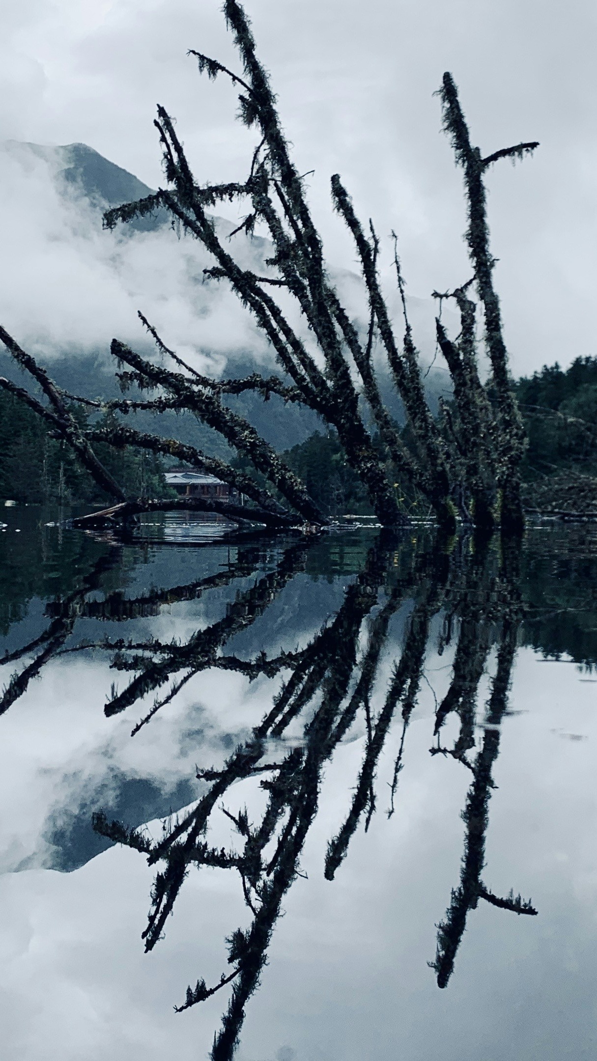 Landscapes