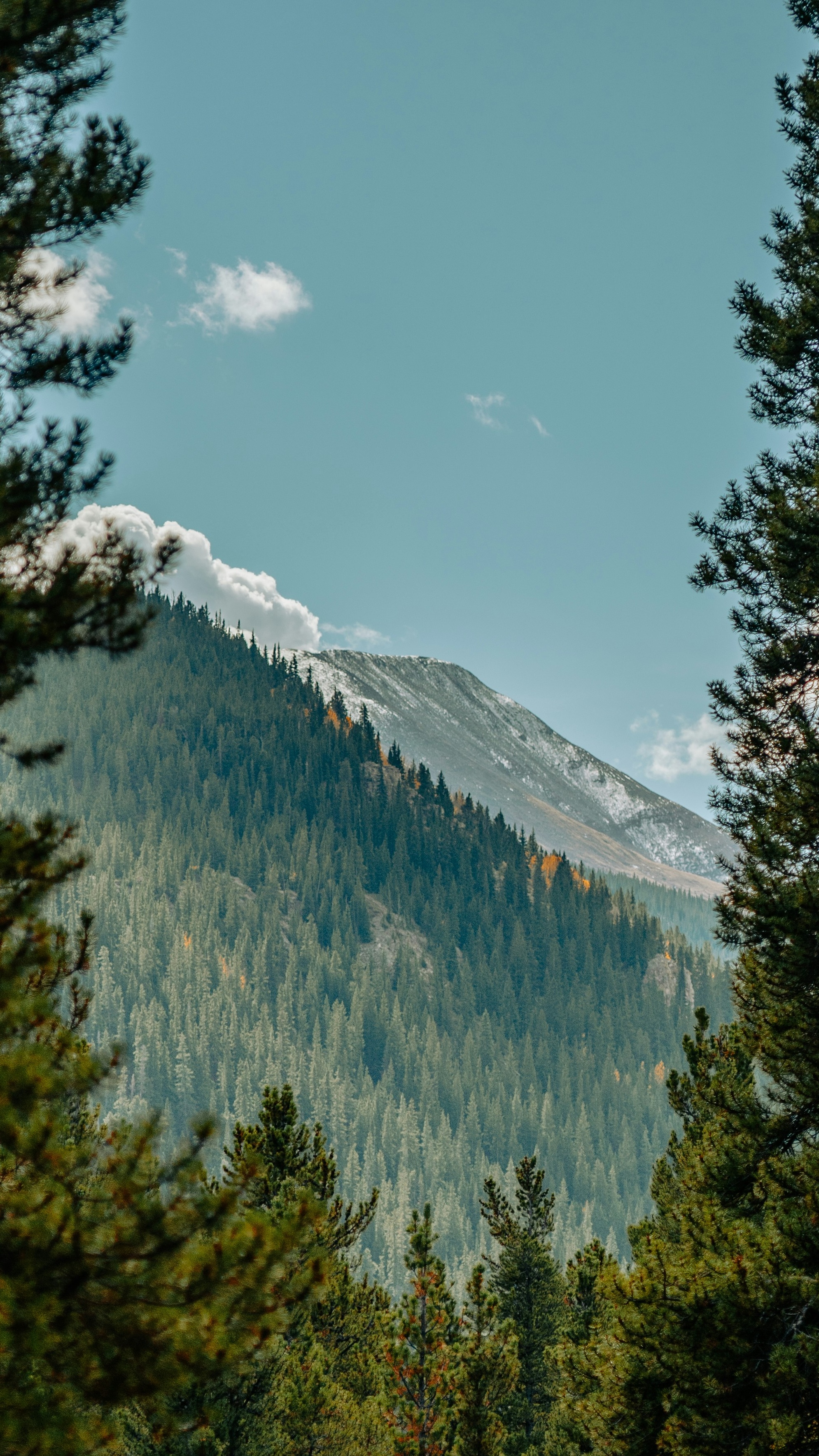 Wallpapers