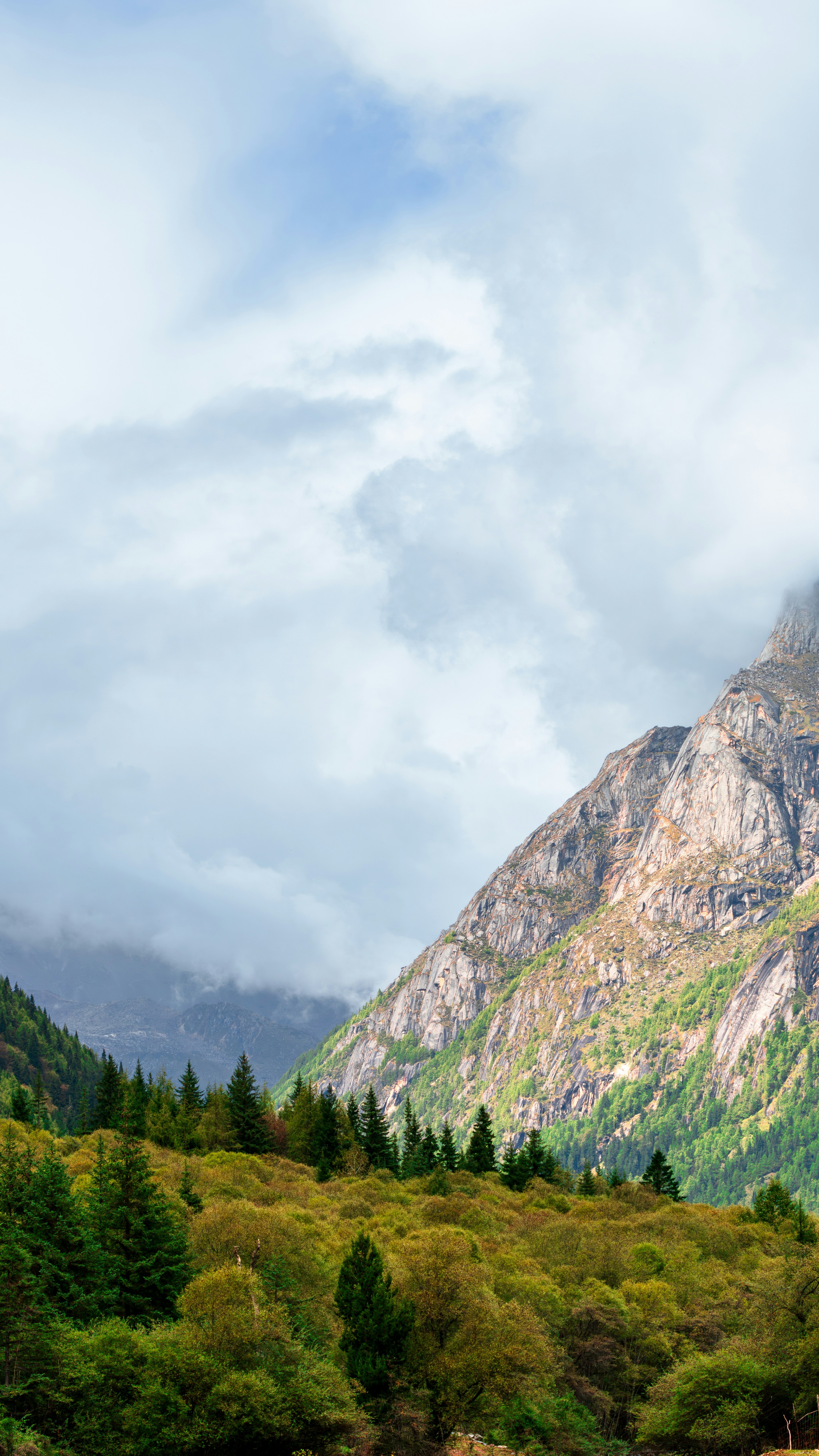 Misty Rocky Mountain Forest Valley