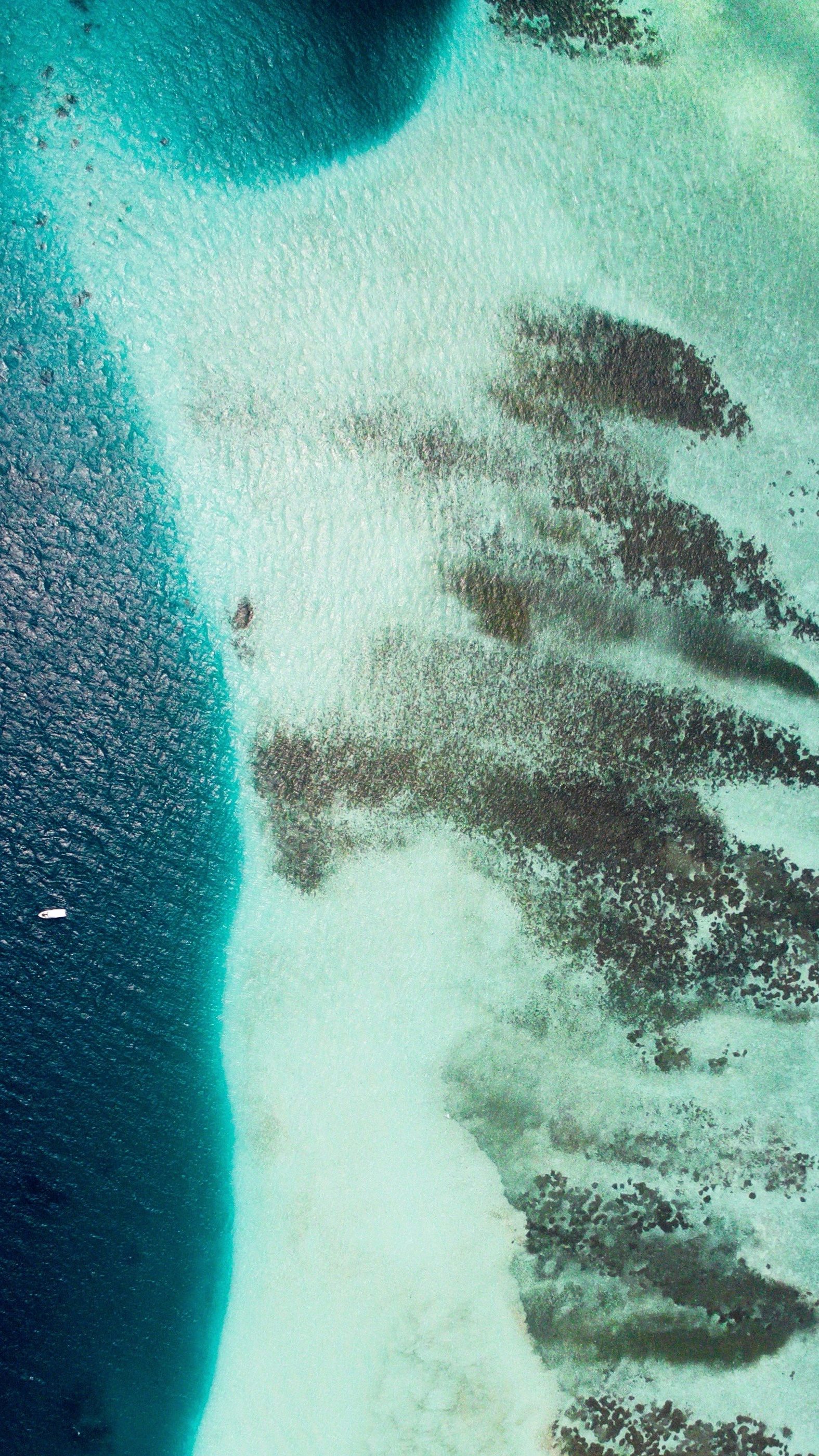 Wallpapers