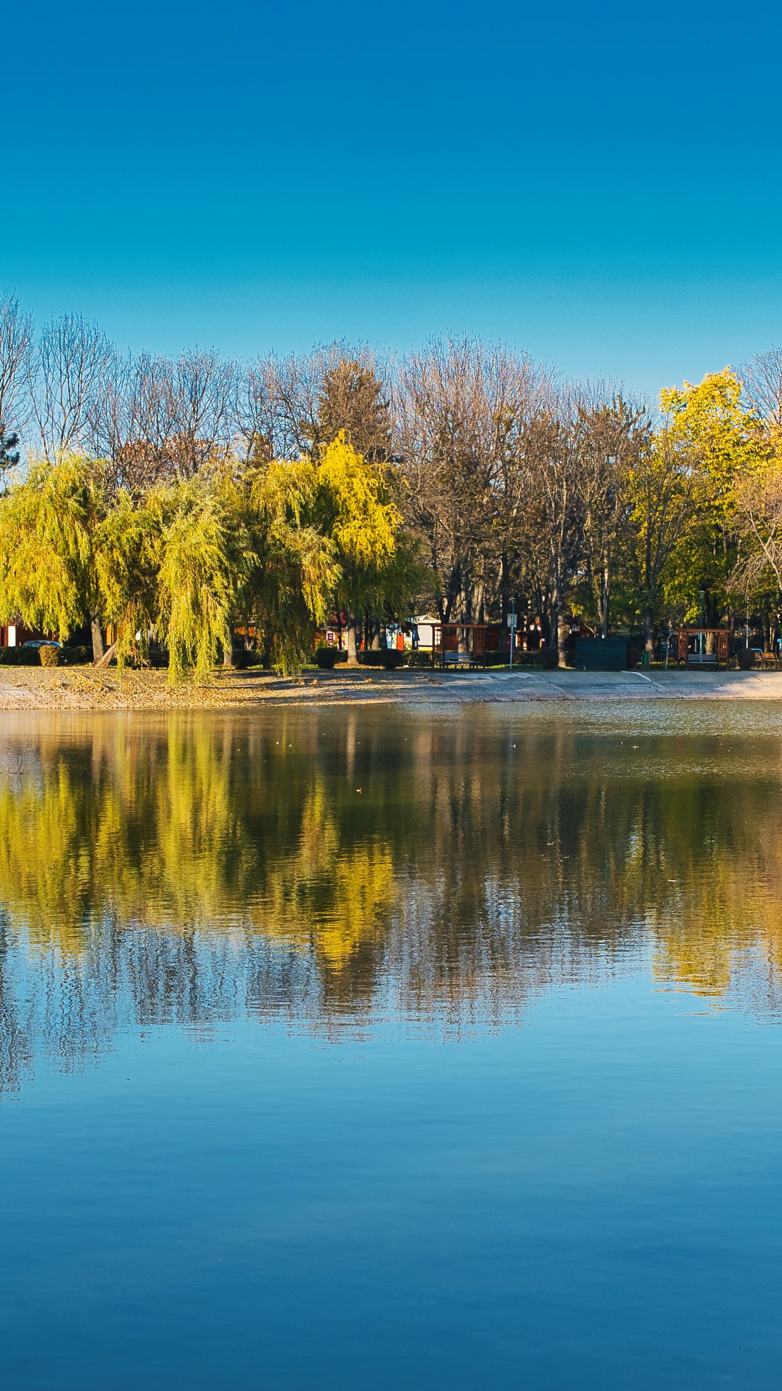 Landscapes