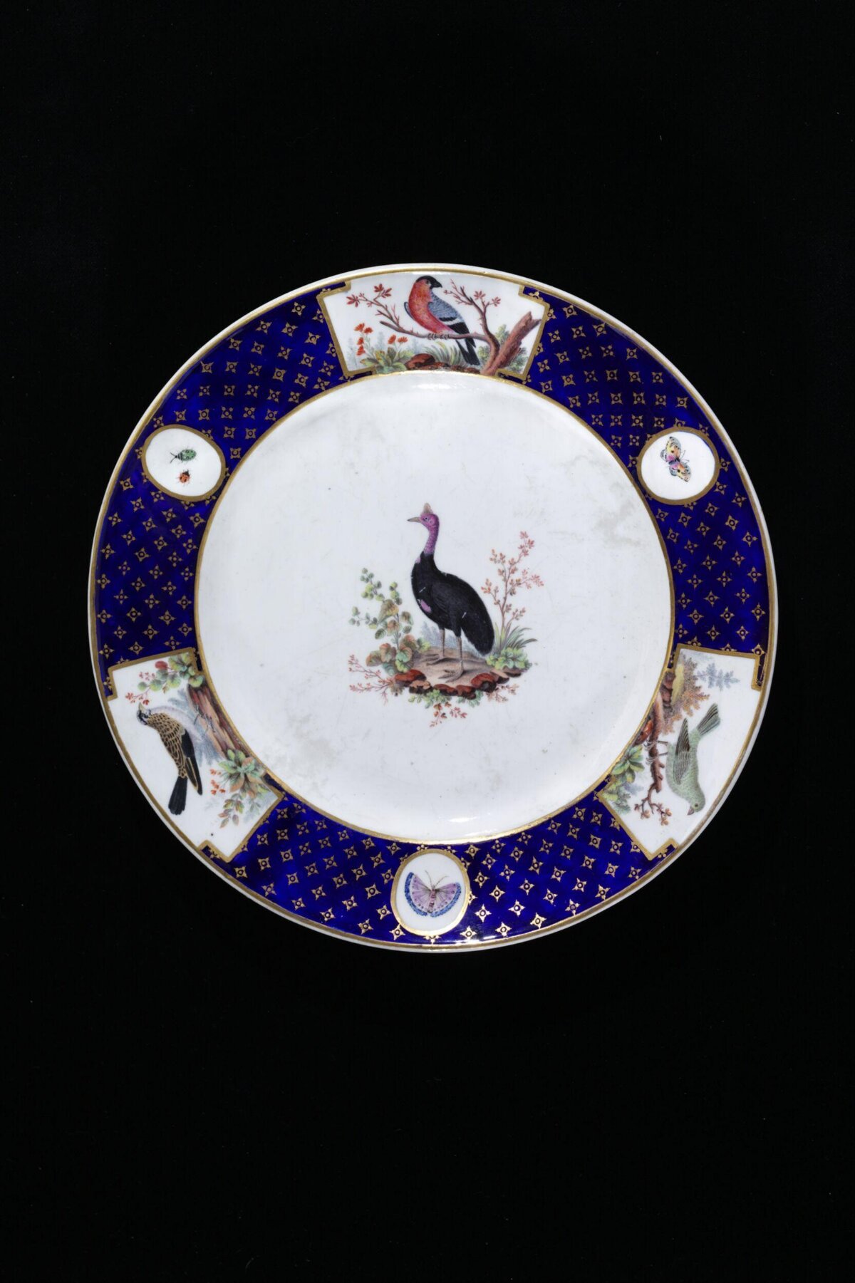 Decorative Painted Bird Porcelain Plate