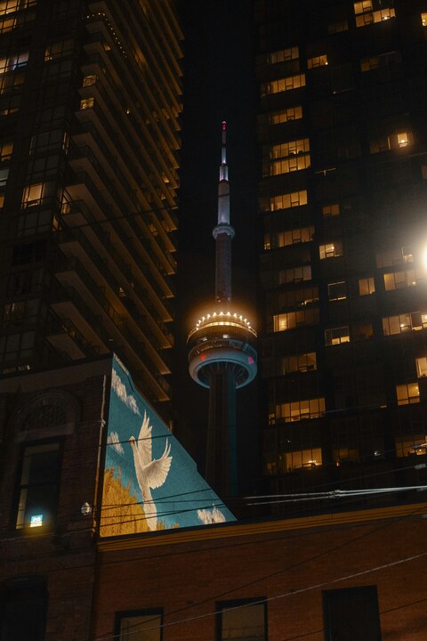Toronto CN Tower Night View