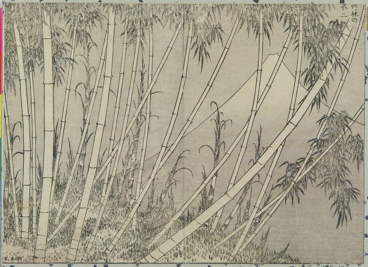 Bamboo Forest and Mount Fuji Sketch