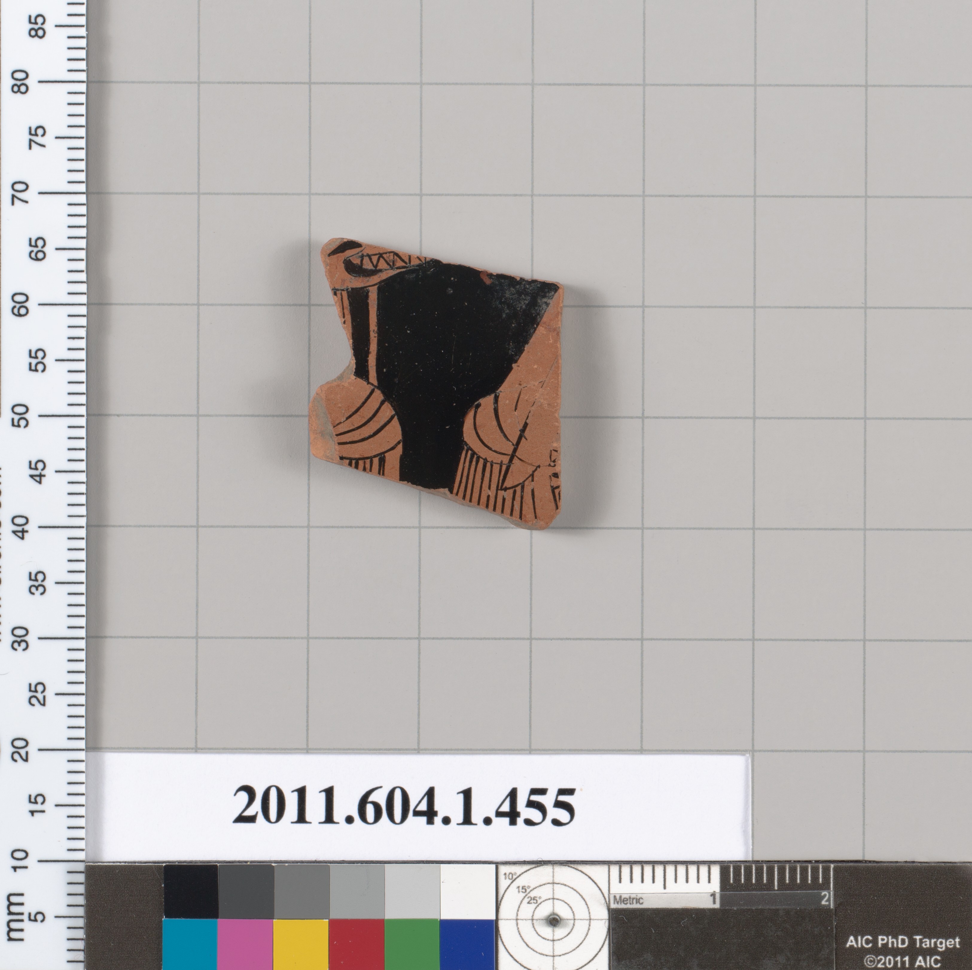 Ancient Terracotta Pottery Shard
