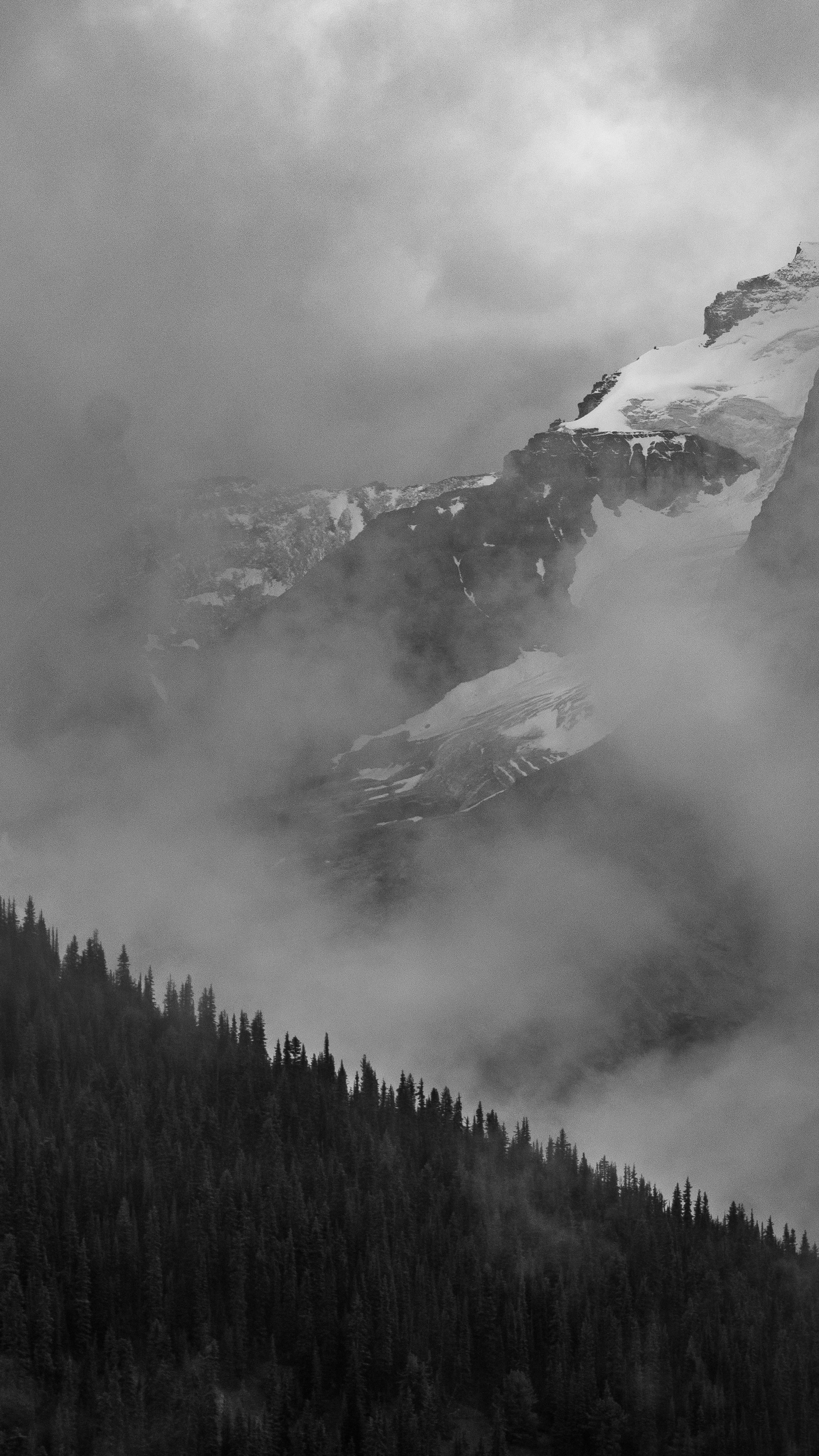 Misty Snowy Mountain Forest