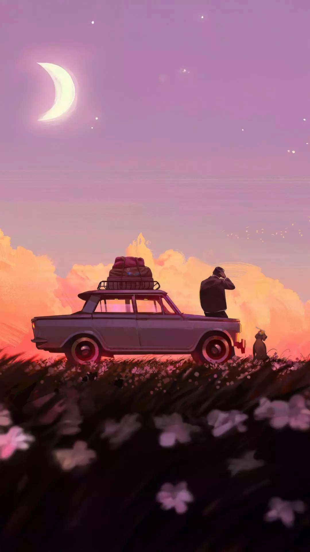 Wallpapers