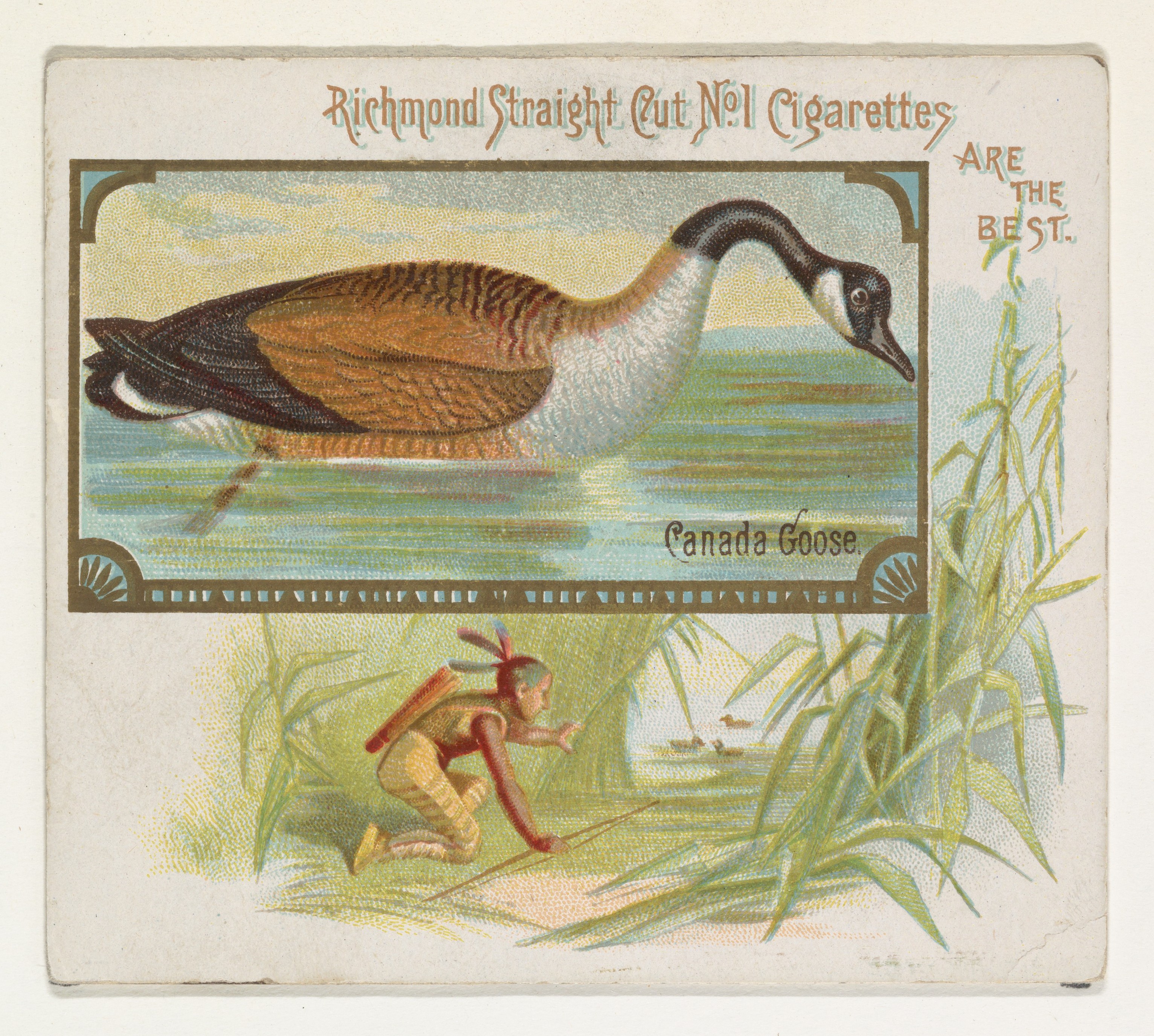 Vintage Canada Goose Cigarette Card