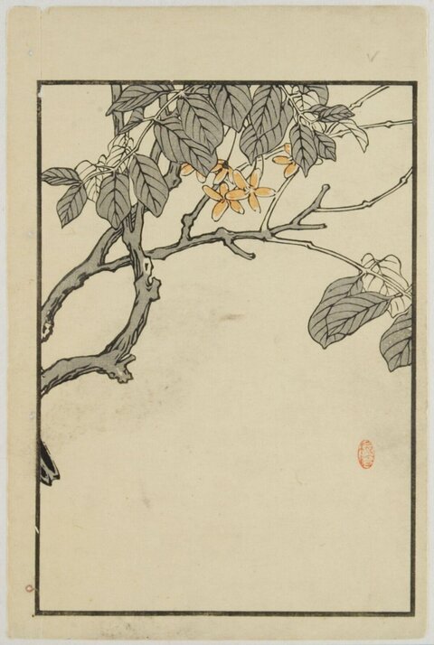 Osmanthus Branch Woodblock Print