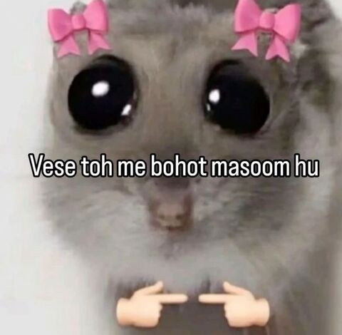 Cute Innocent Hamster Meme