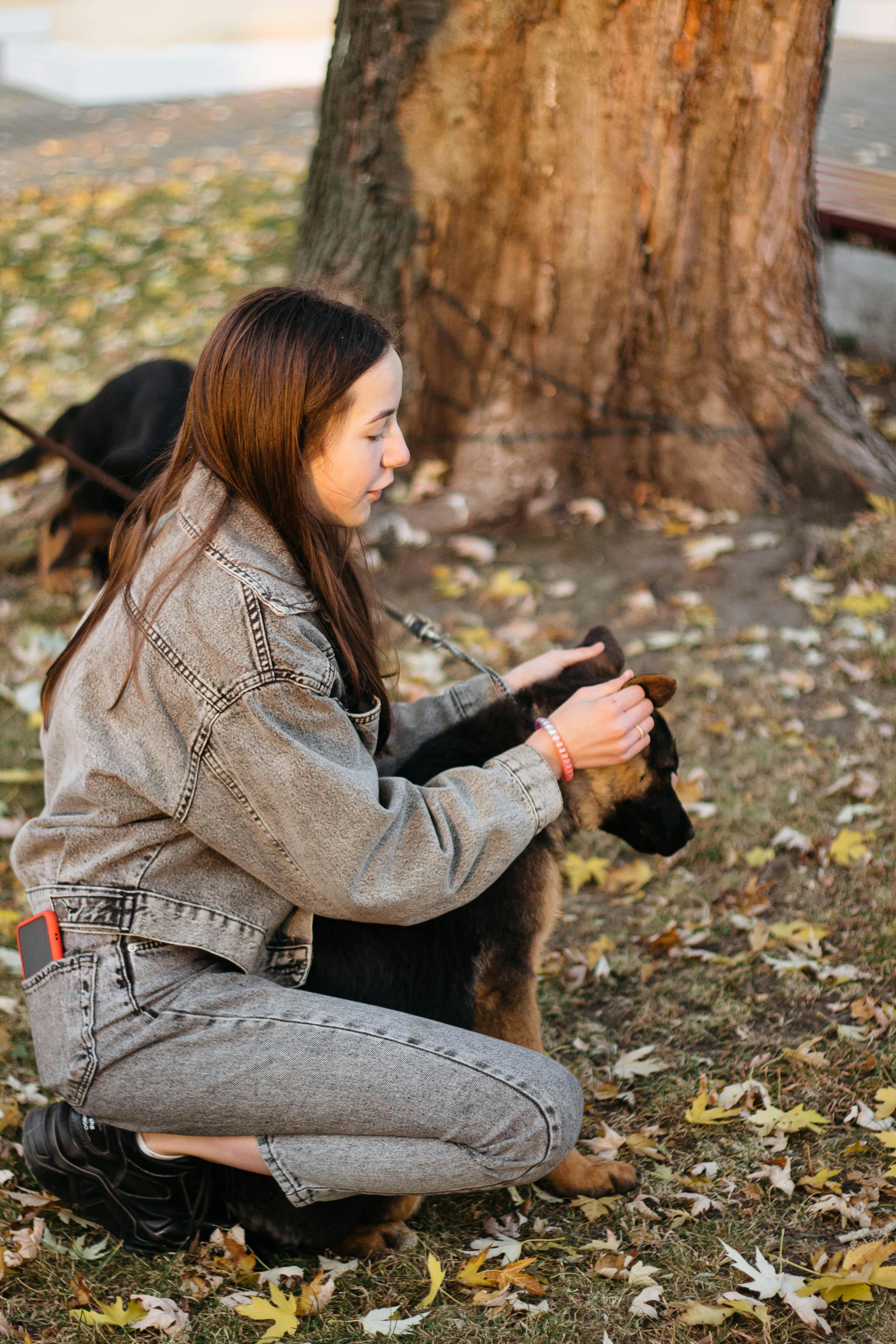 Girl Petting German Shepherd Puppy in Autumn