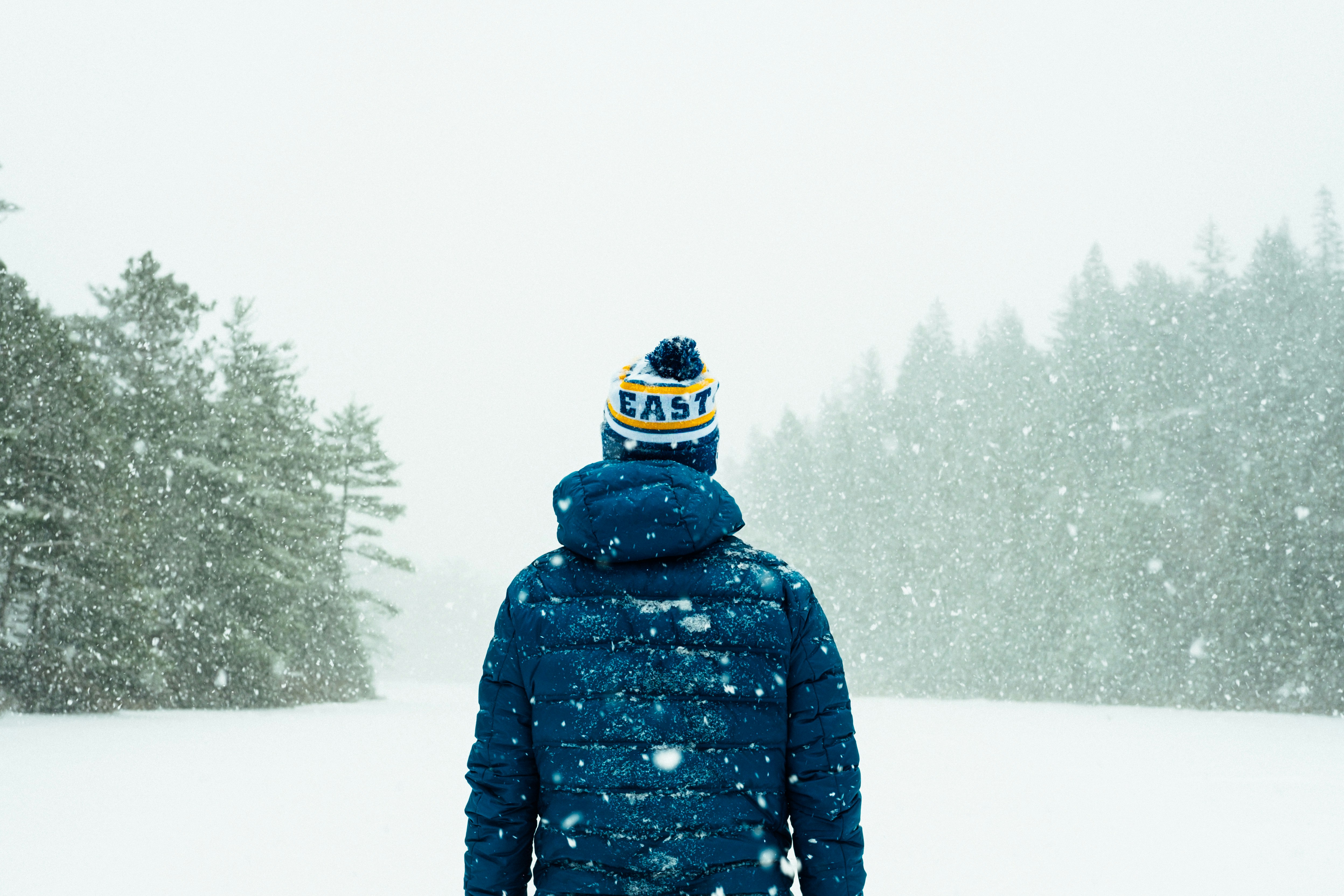 Person in Snowy Winter Forest