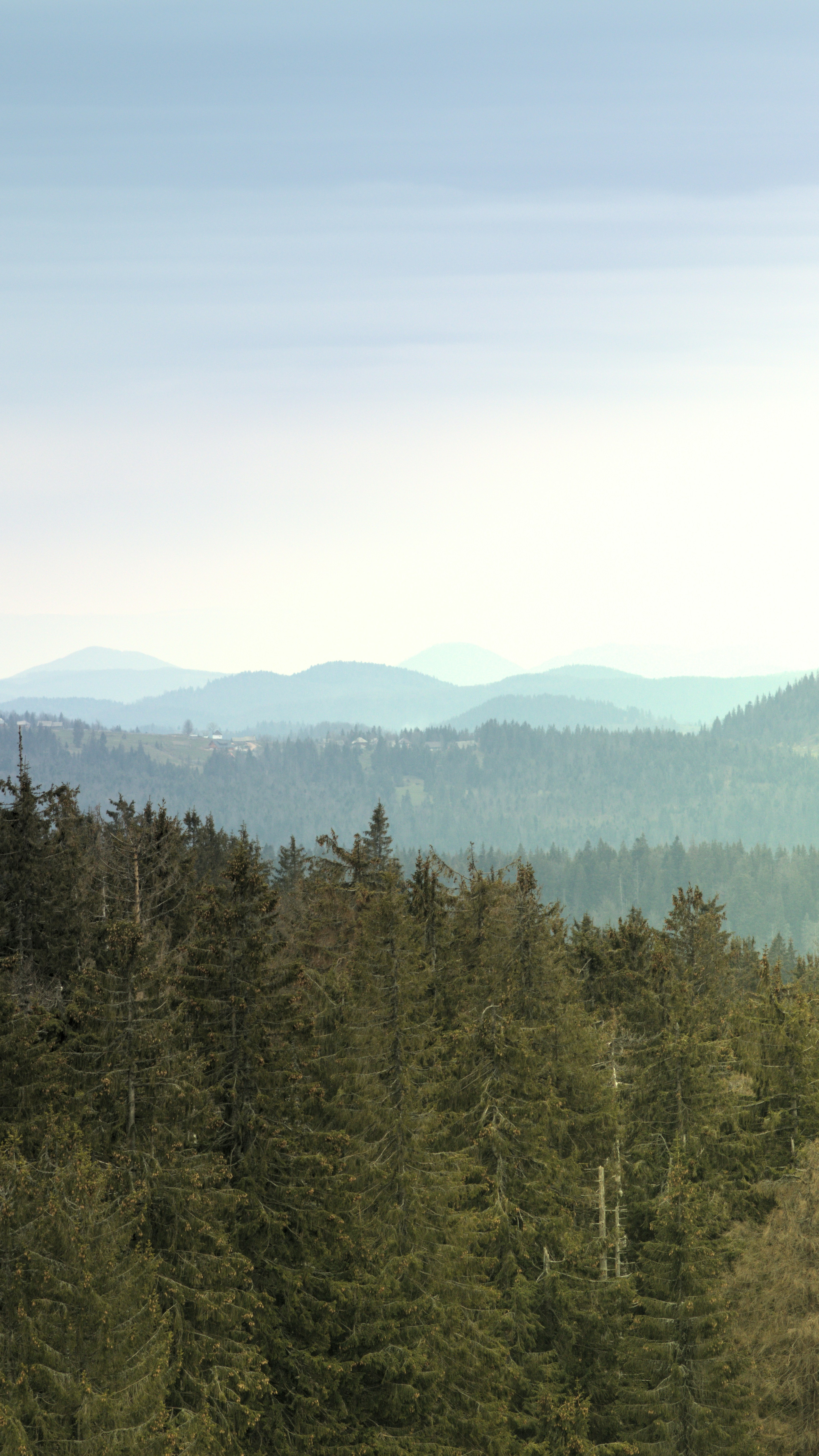 Landscapes