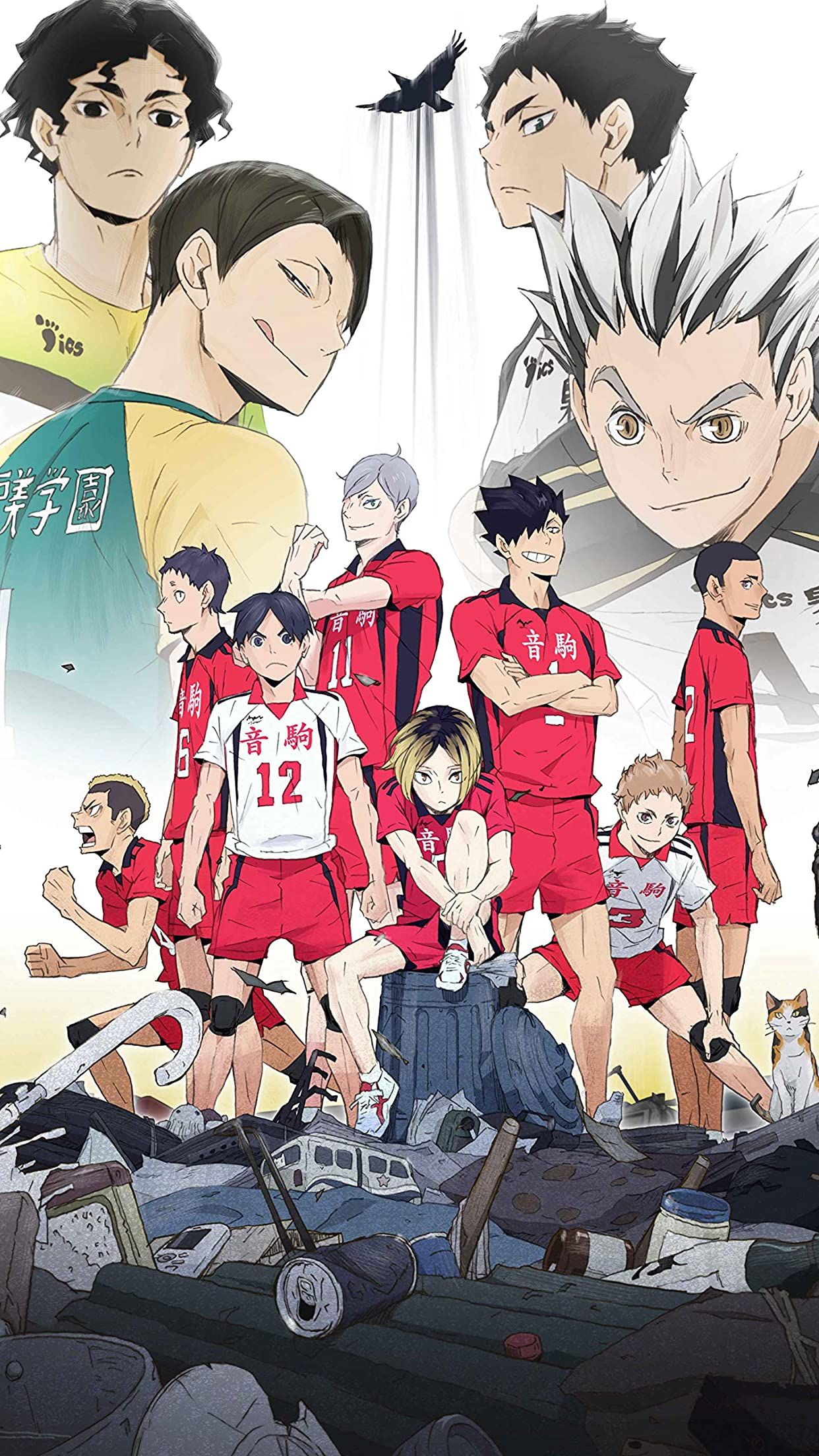 Haikyuu Anime Teams Illustration