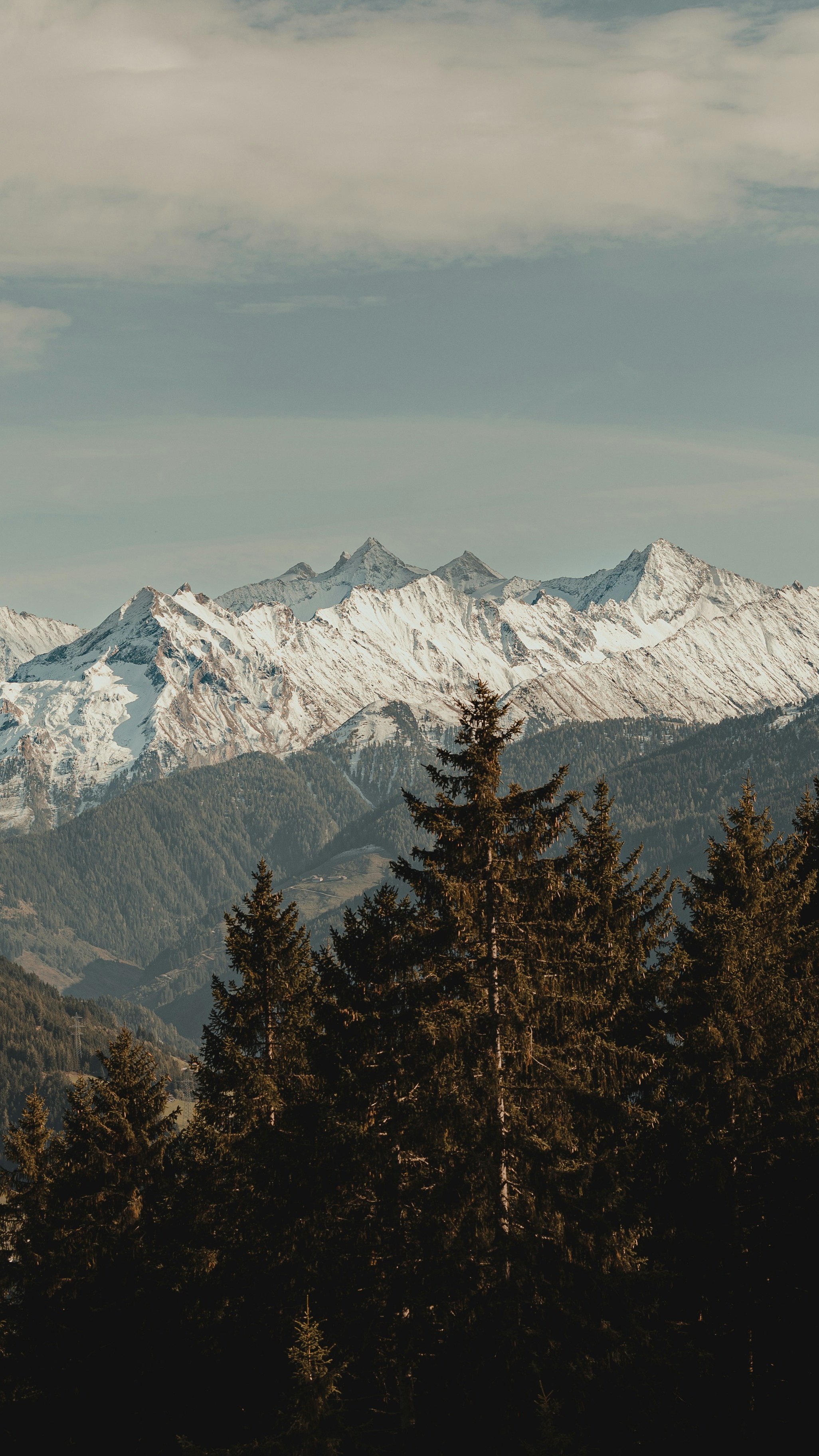 Wallpapers
