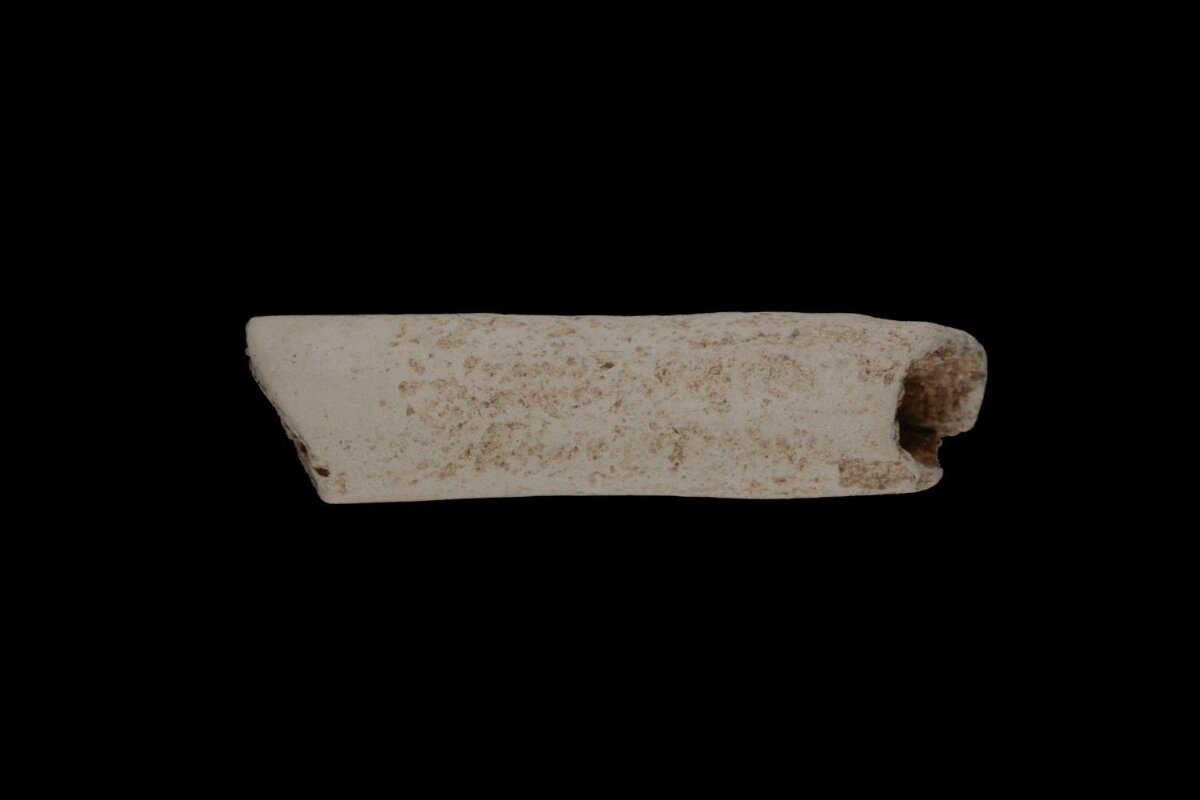 Ancient Bone Artifact Fragment