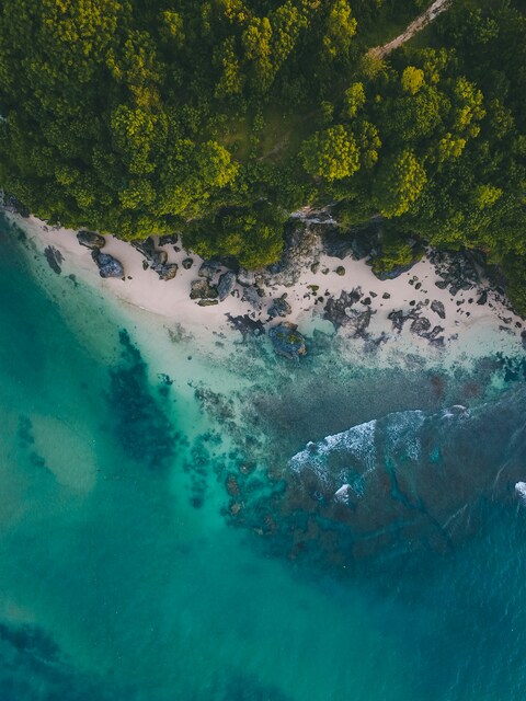 Aerial View of Tropical Coastal Beach
