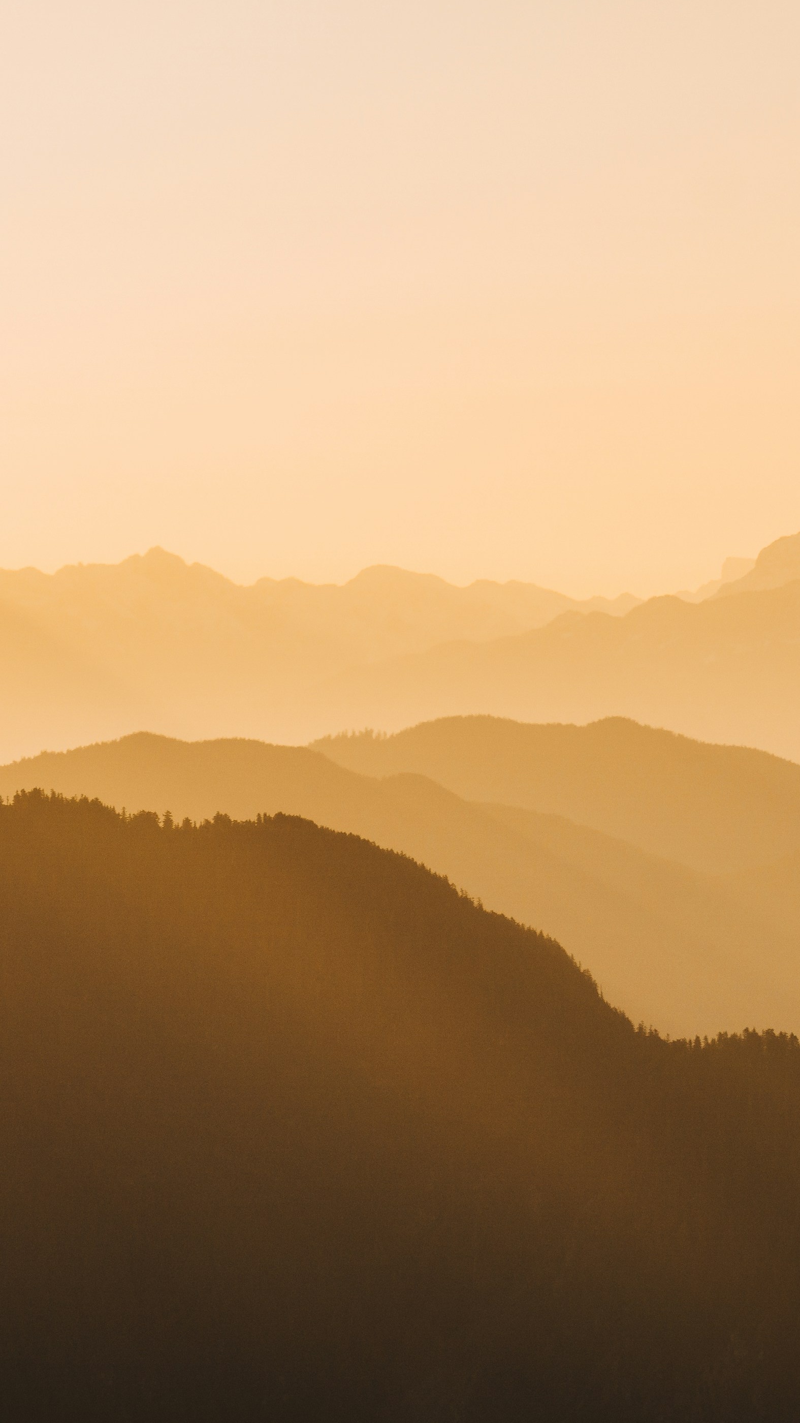 Landscapes