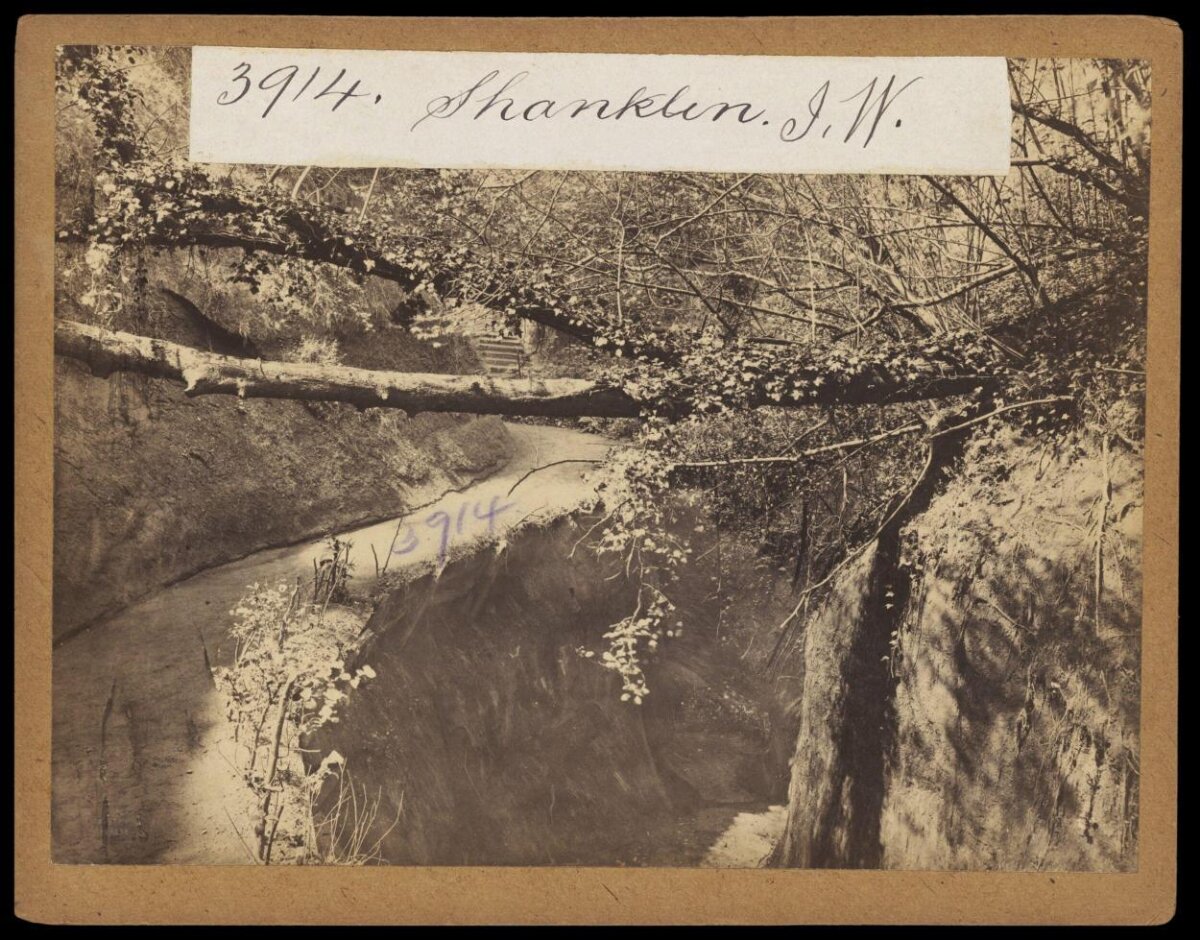 Shanklin Woodland Path — Scenery