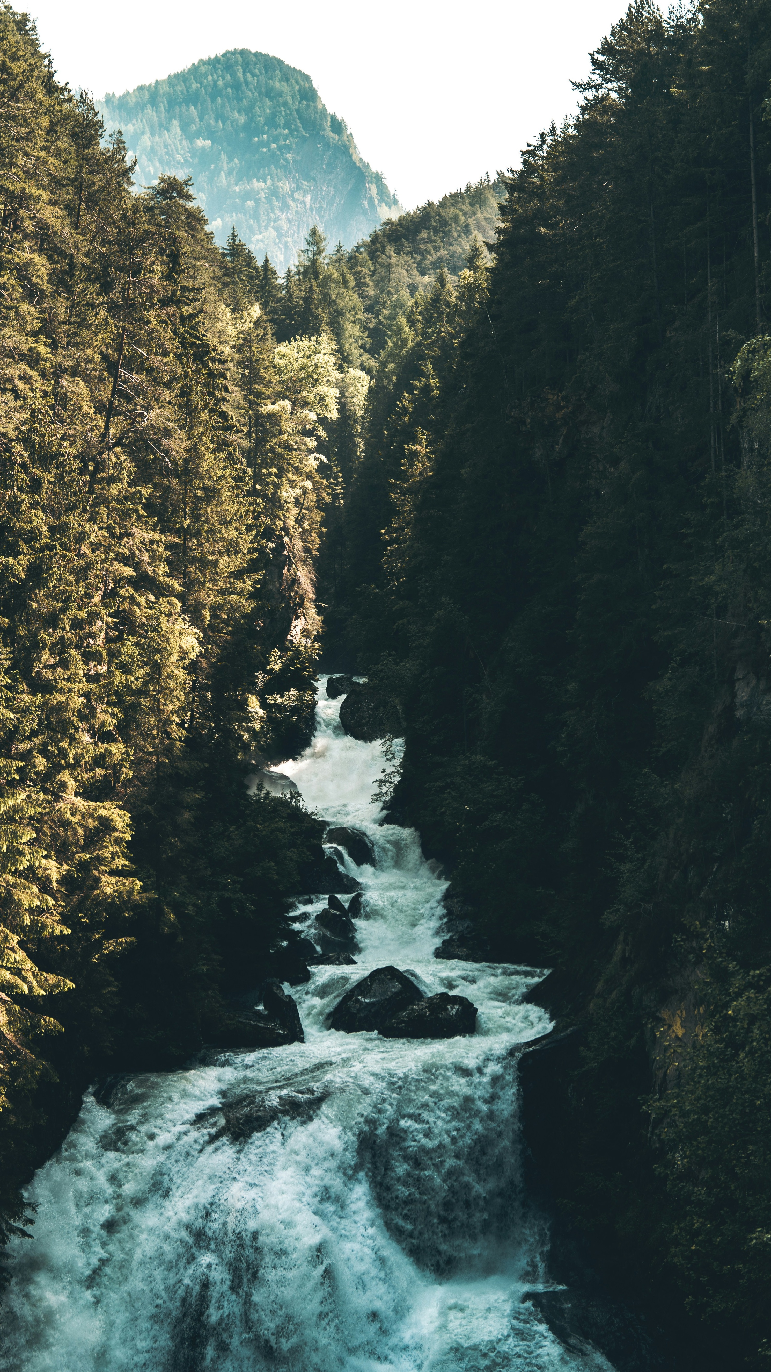 Wallpapers