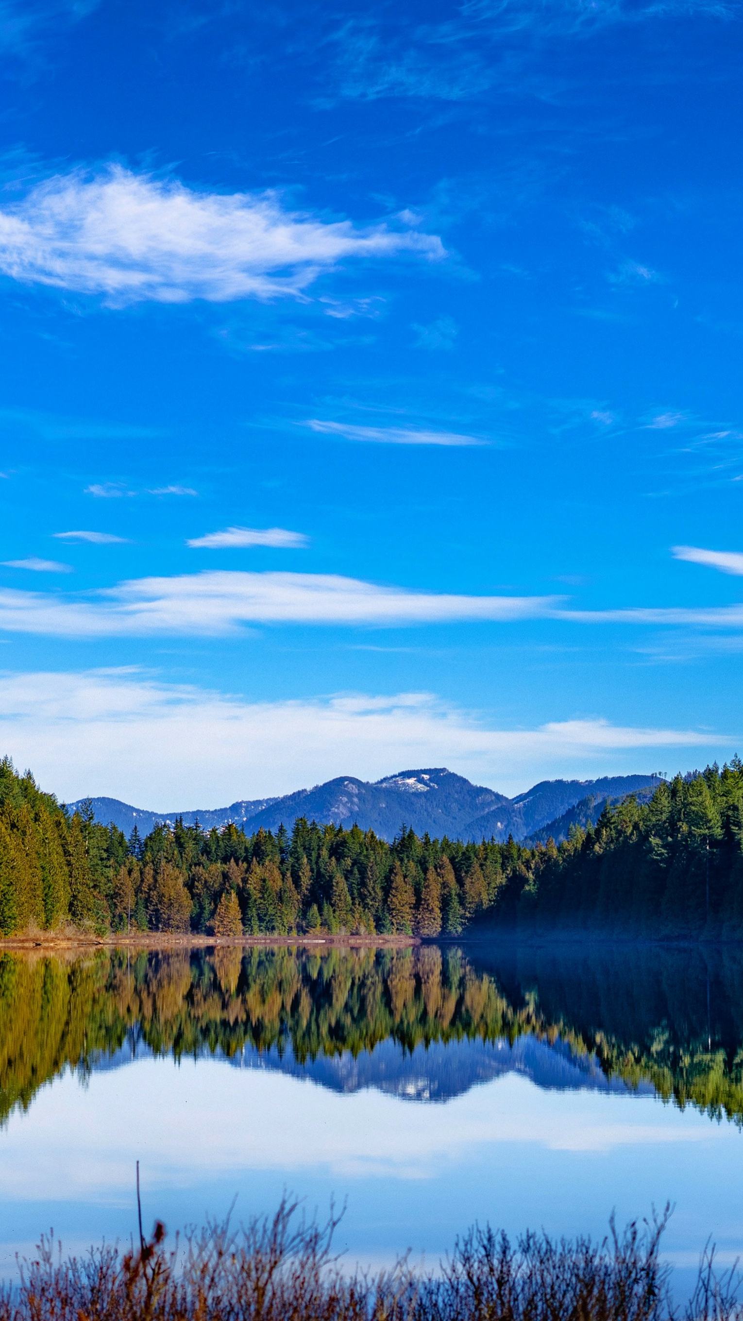 Landscapes
