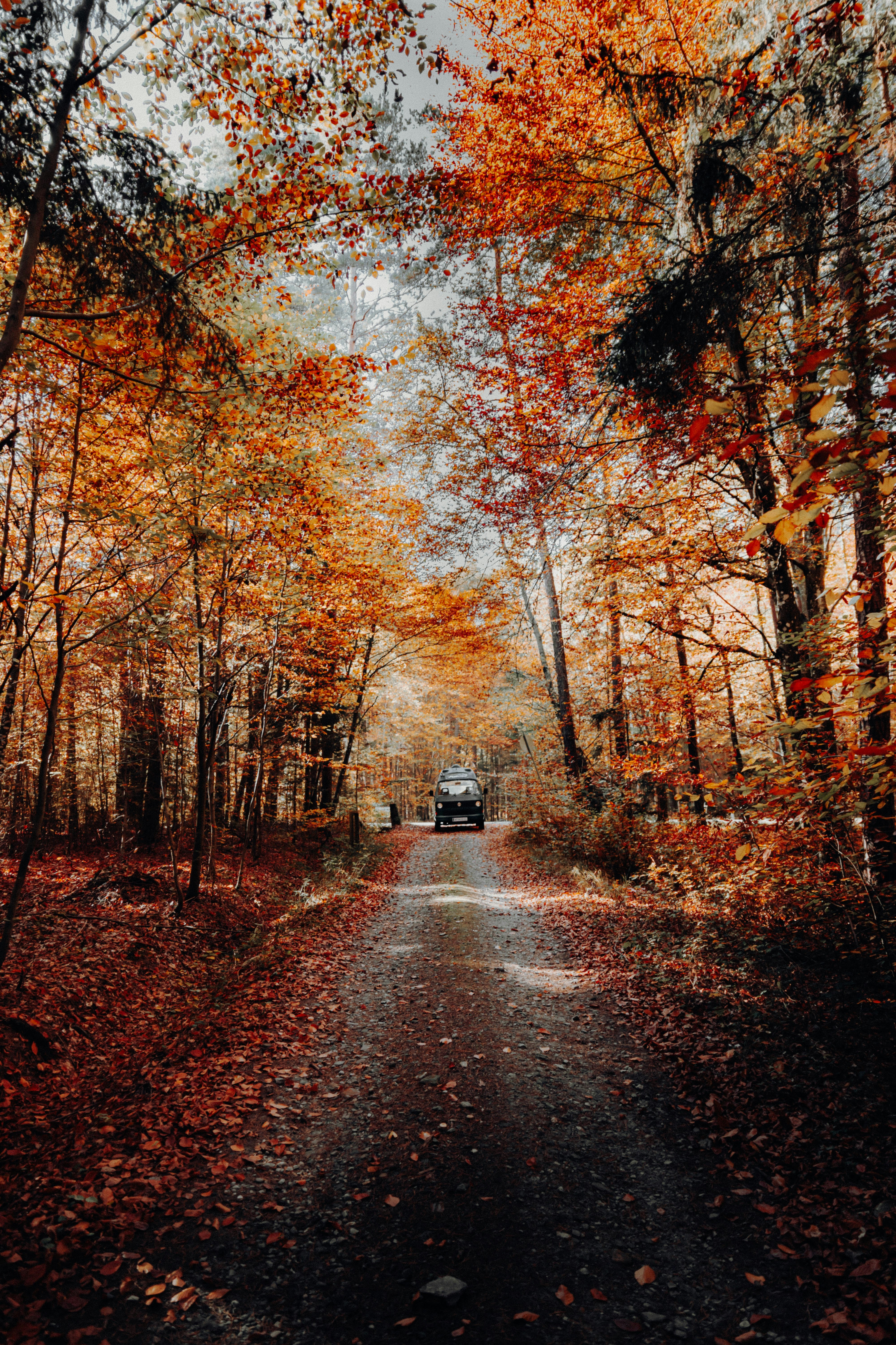 Van Parked on Autumn Forest Road