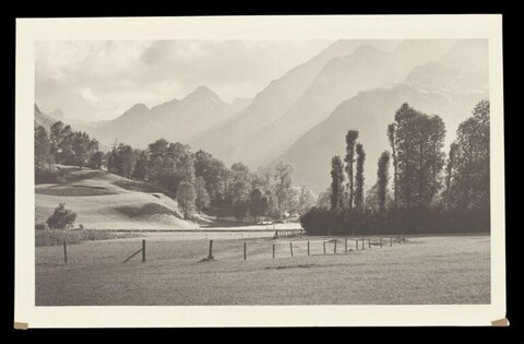 Black and White Mountain Pasture Landscape