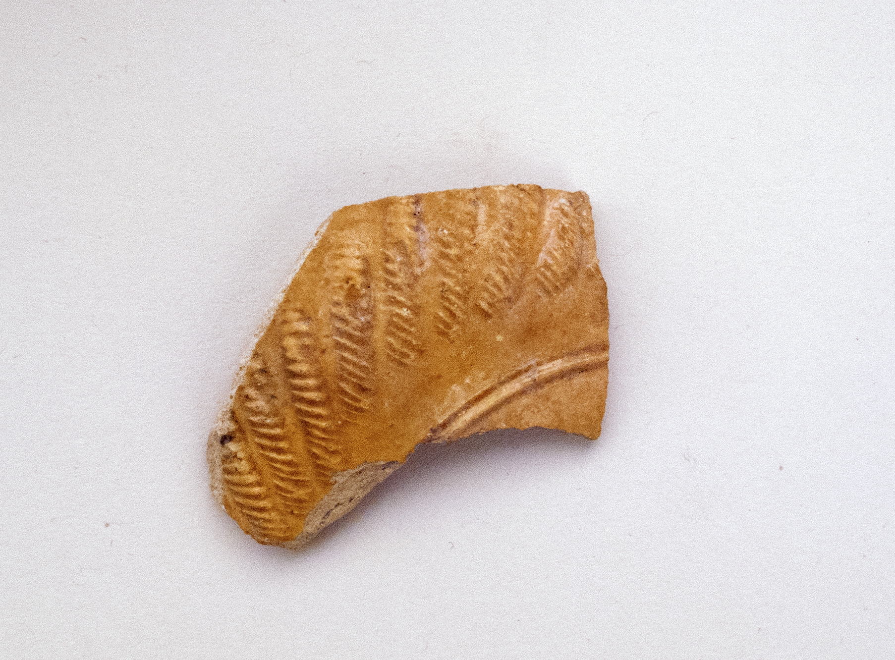 Patterned Ancient Pottery Fragment