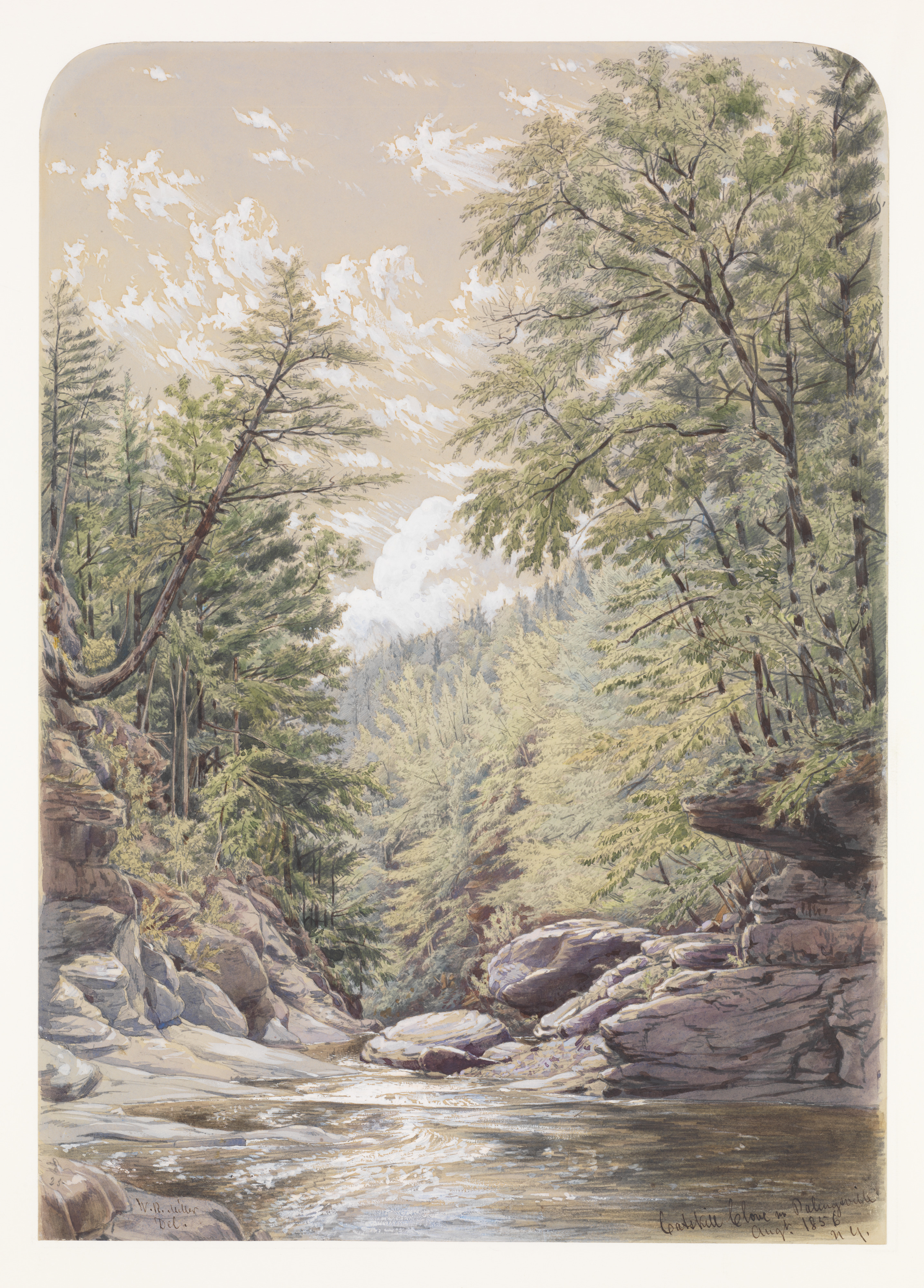 Catskill Gorge River Landscape