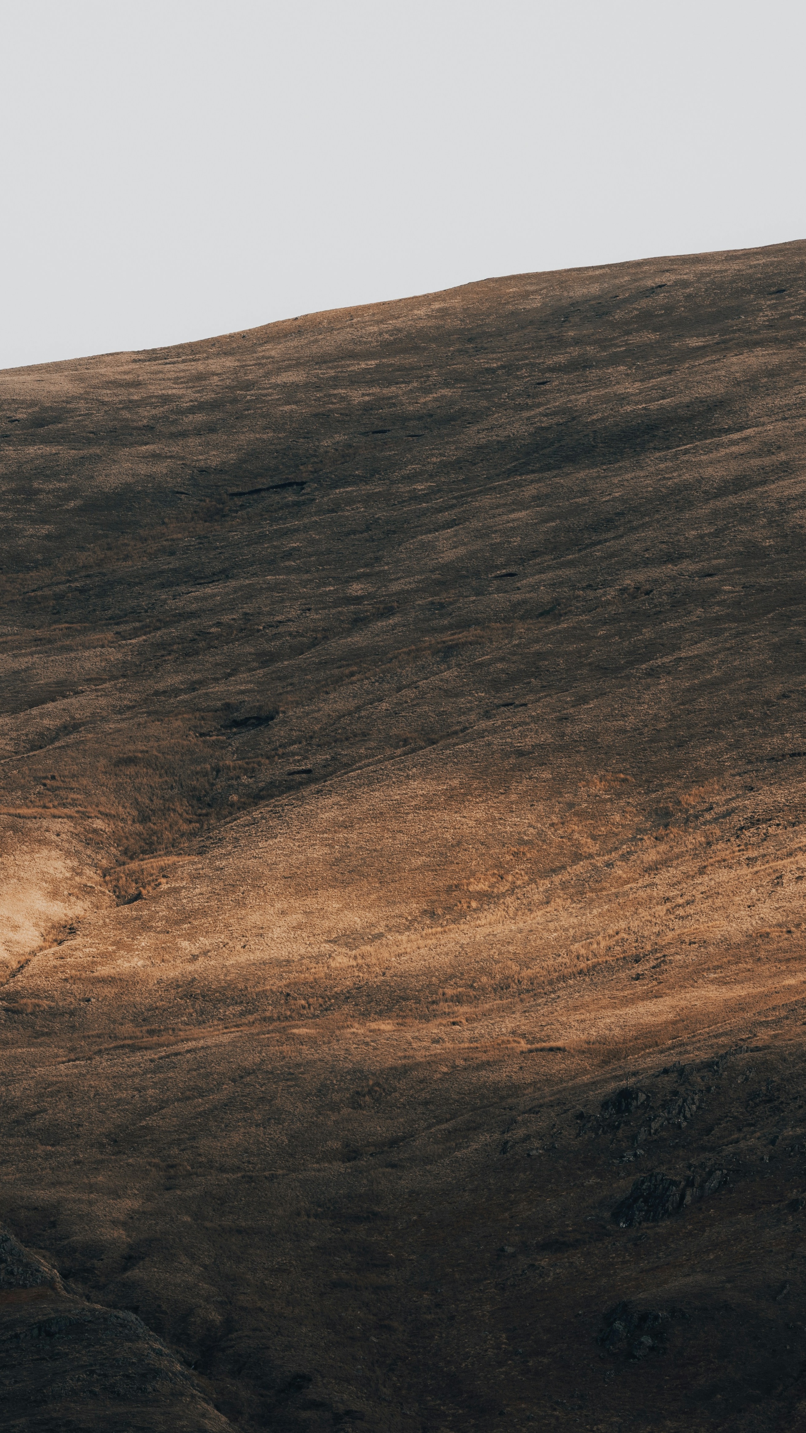 Dry Grassy Hillside Under Overcast Sky