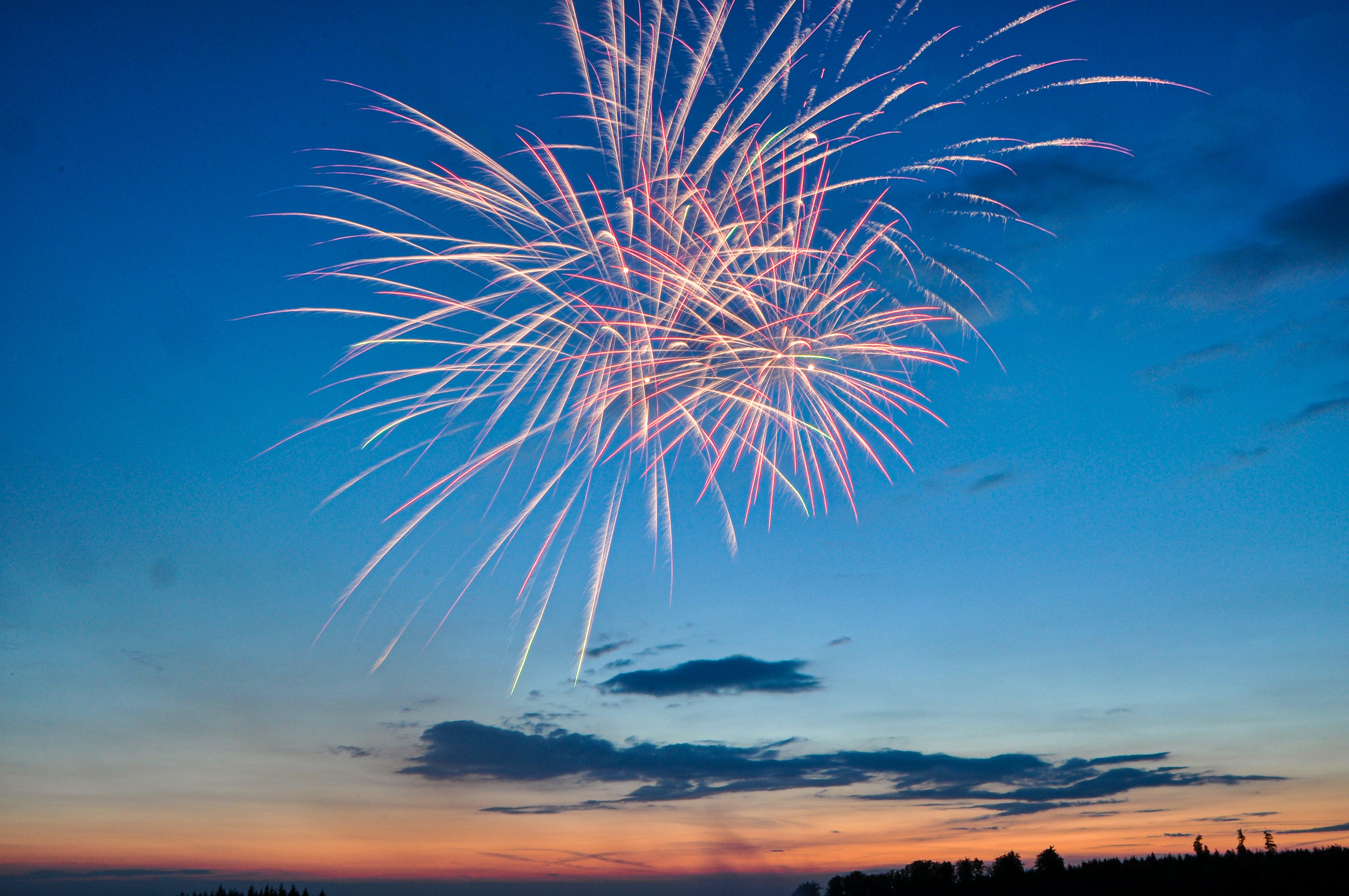 Fireworks Burst in Twilight Sky