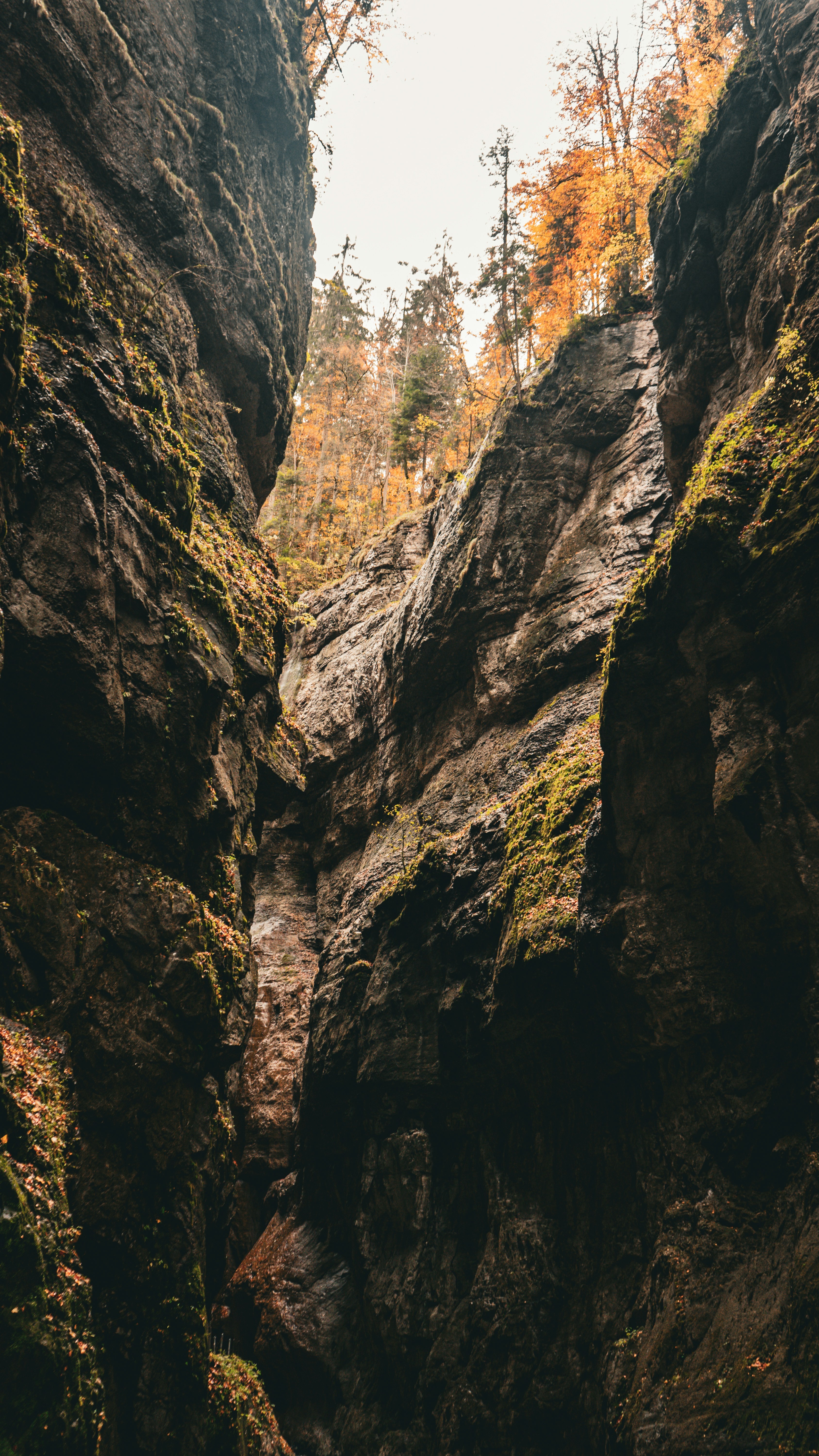 Wallpapers