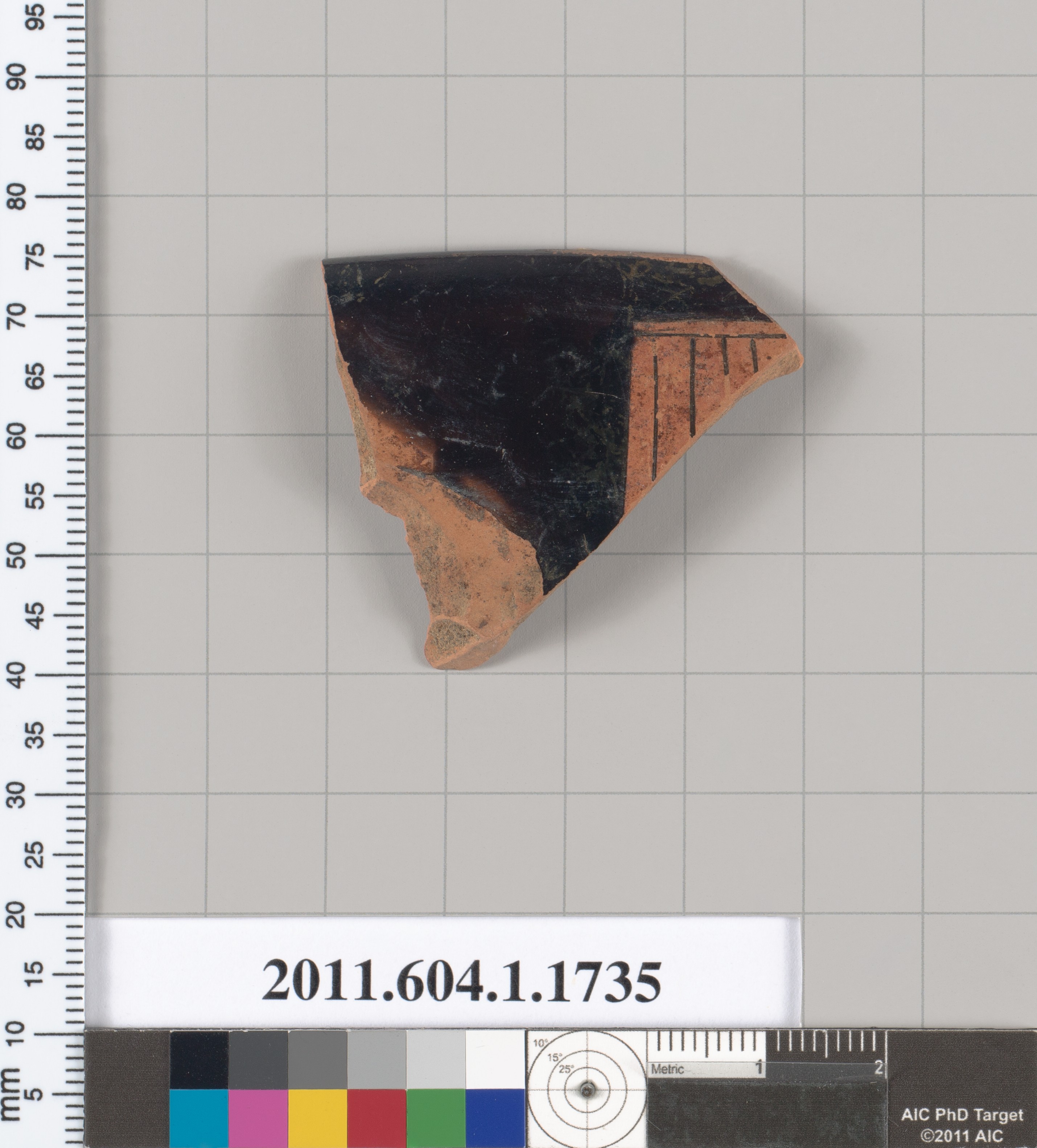 Ancient Terracotta Pottery Fragment
