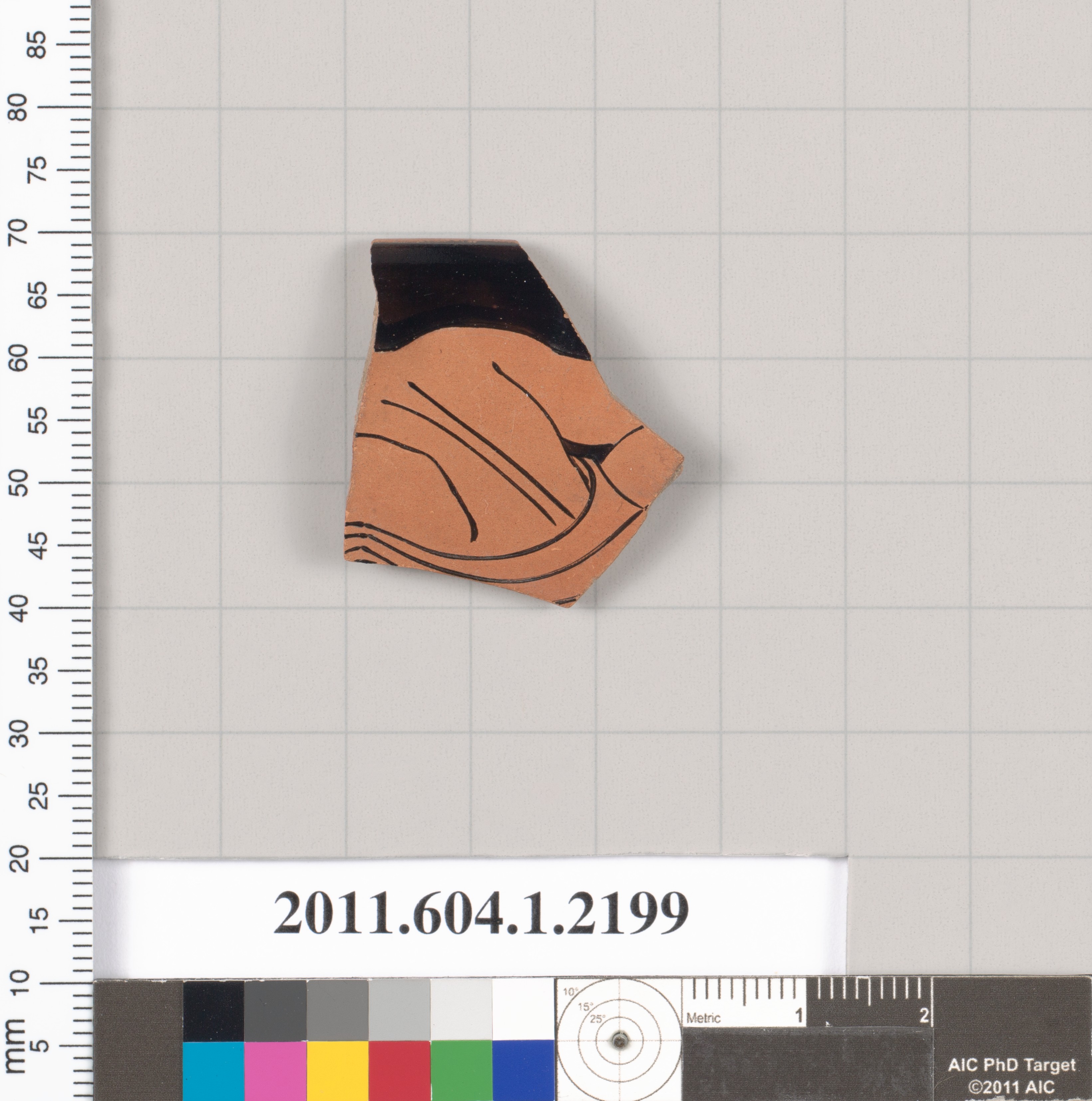 Painted Terracotta Pottery Fragment