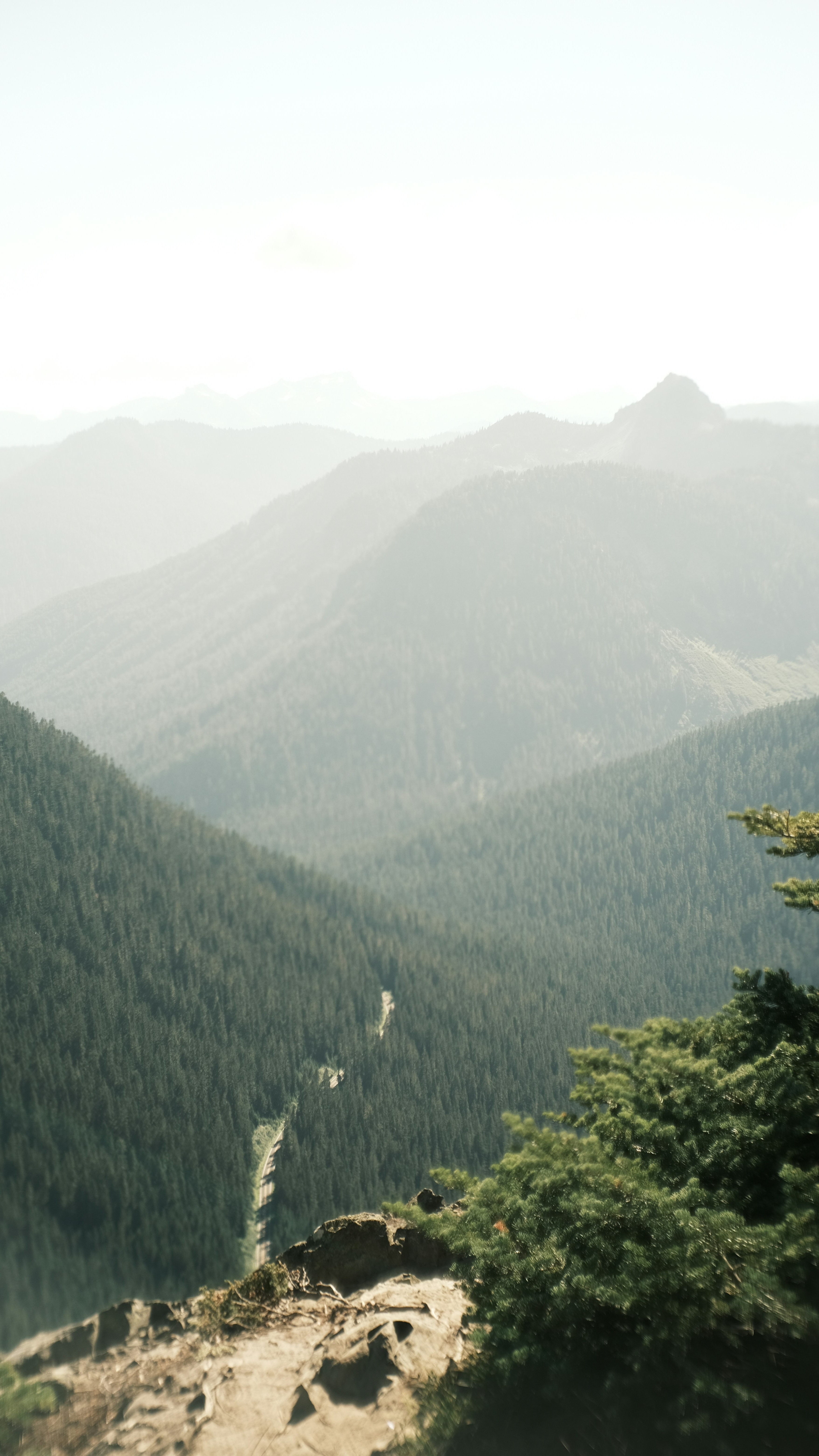 Landscapes