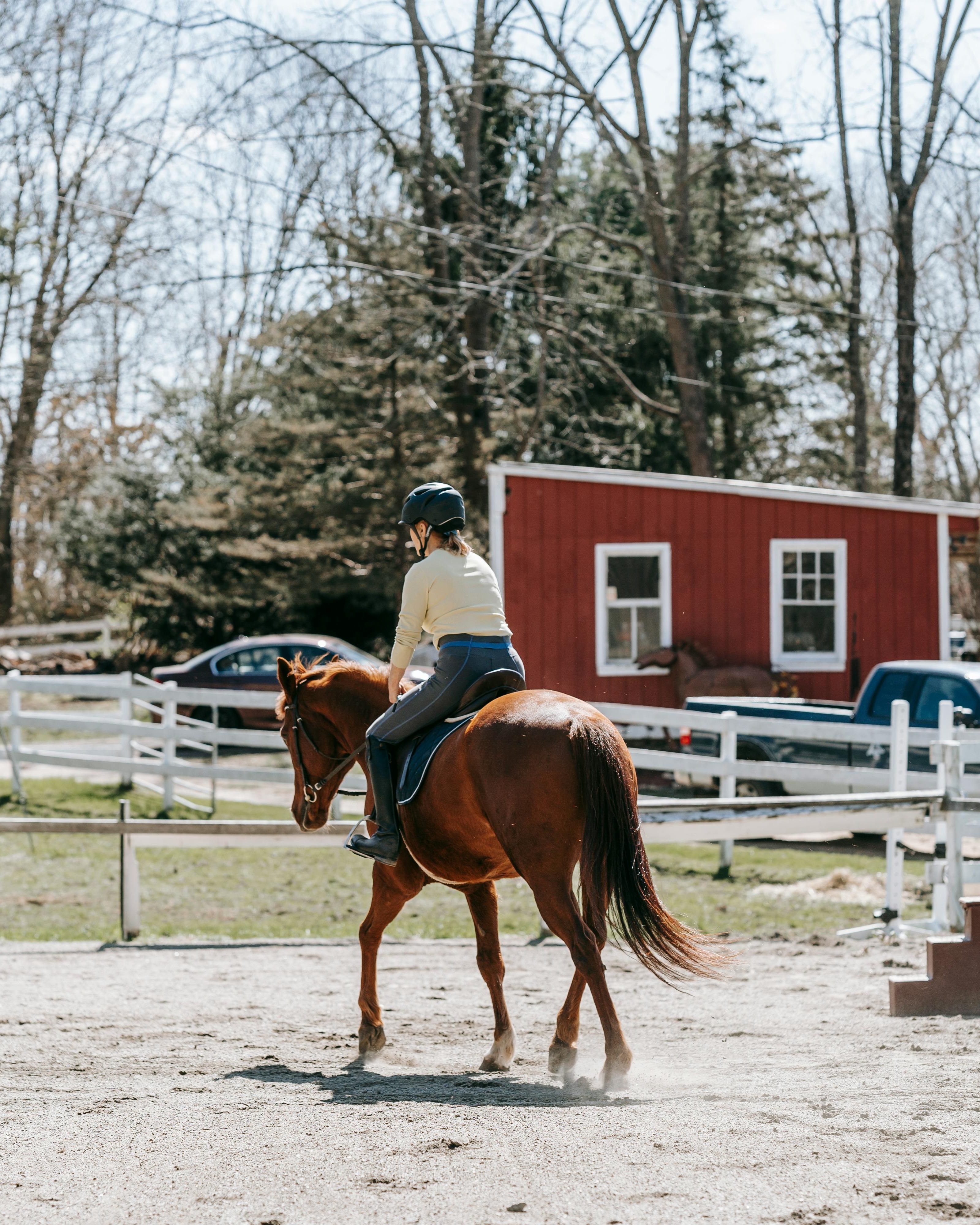 Horseback Riding Practice at Farm