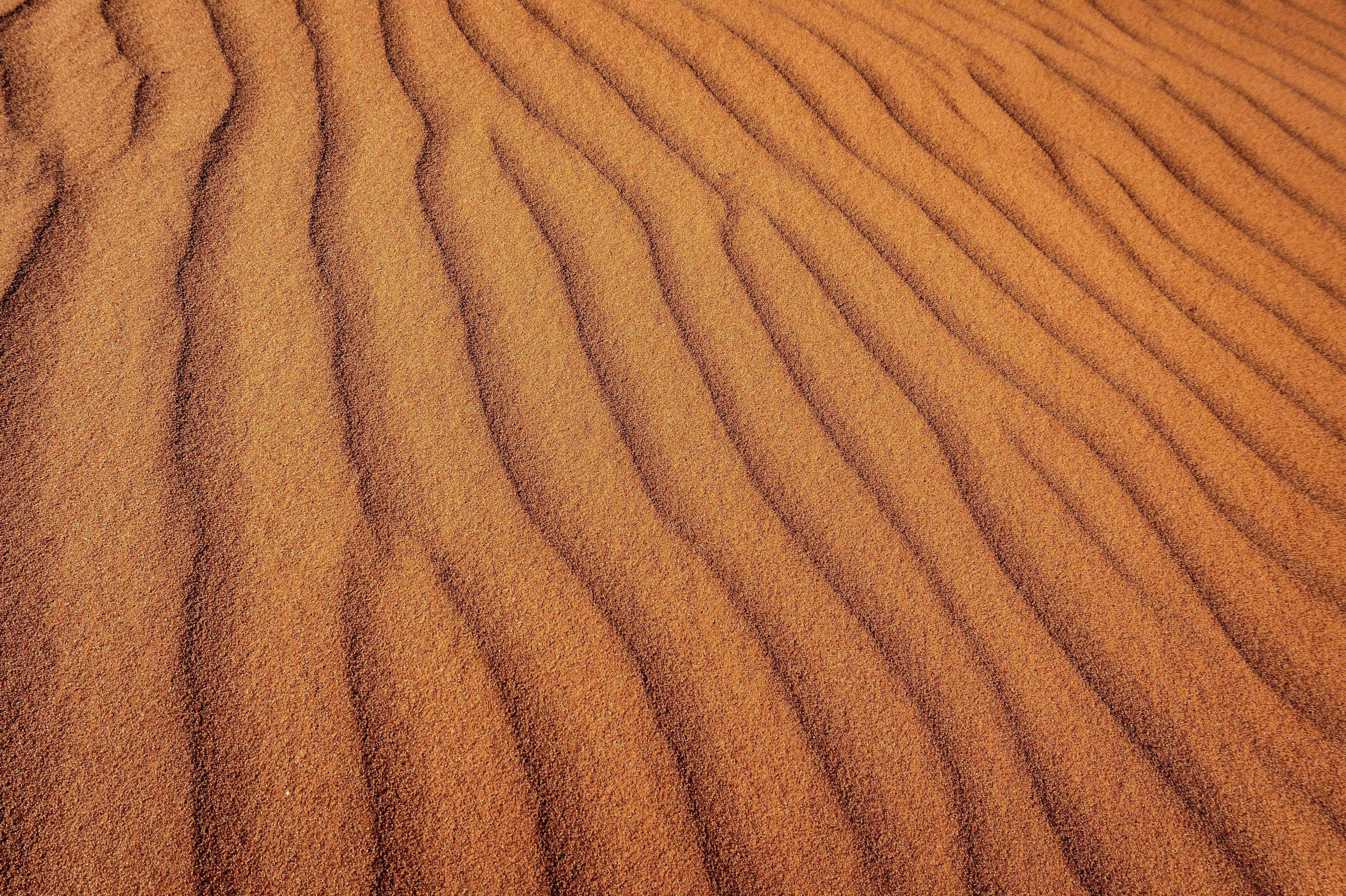 Rippled Desert Sand Dunes