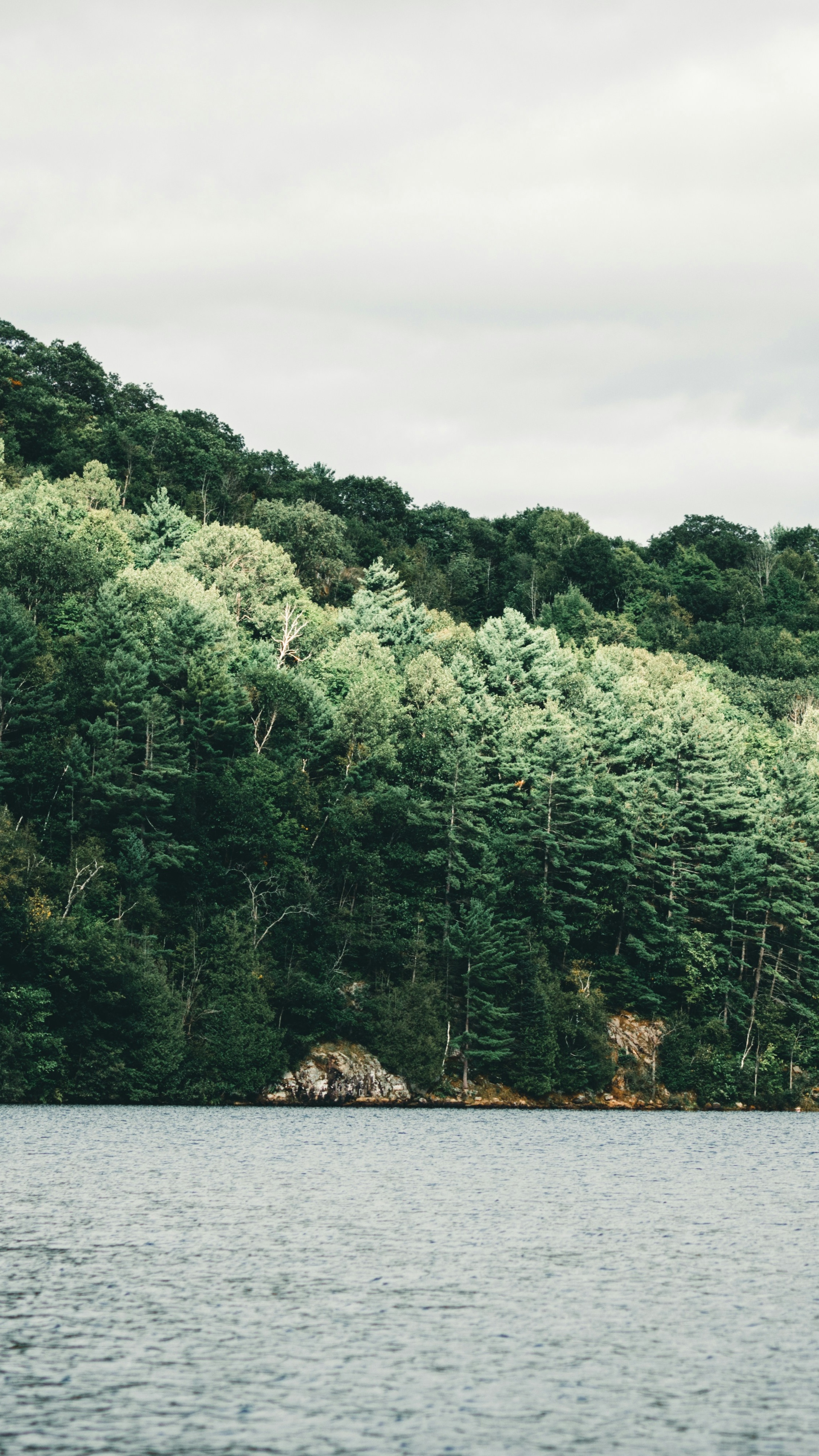 Landscapes