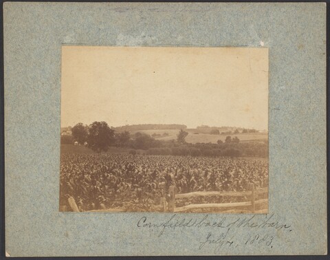 1883 Cornfield Behind the Barn