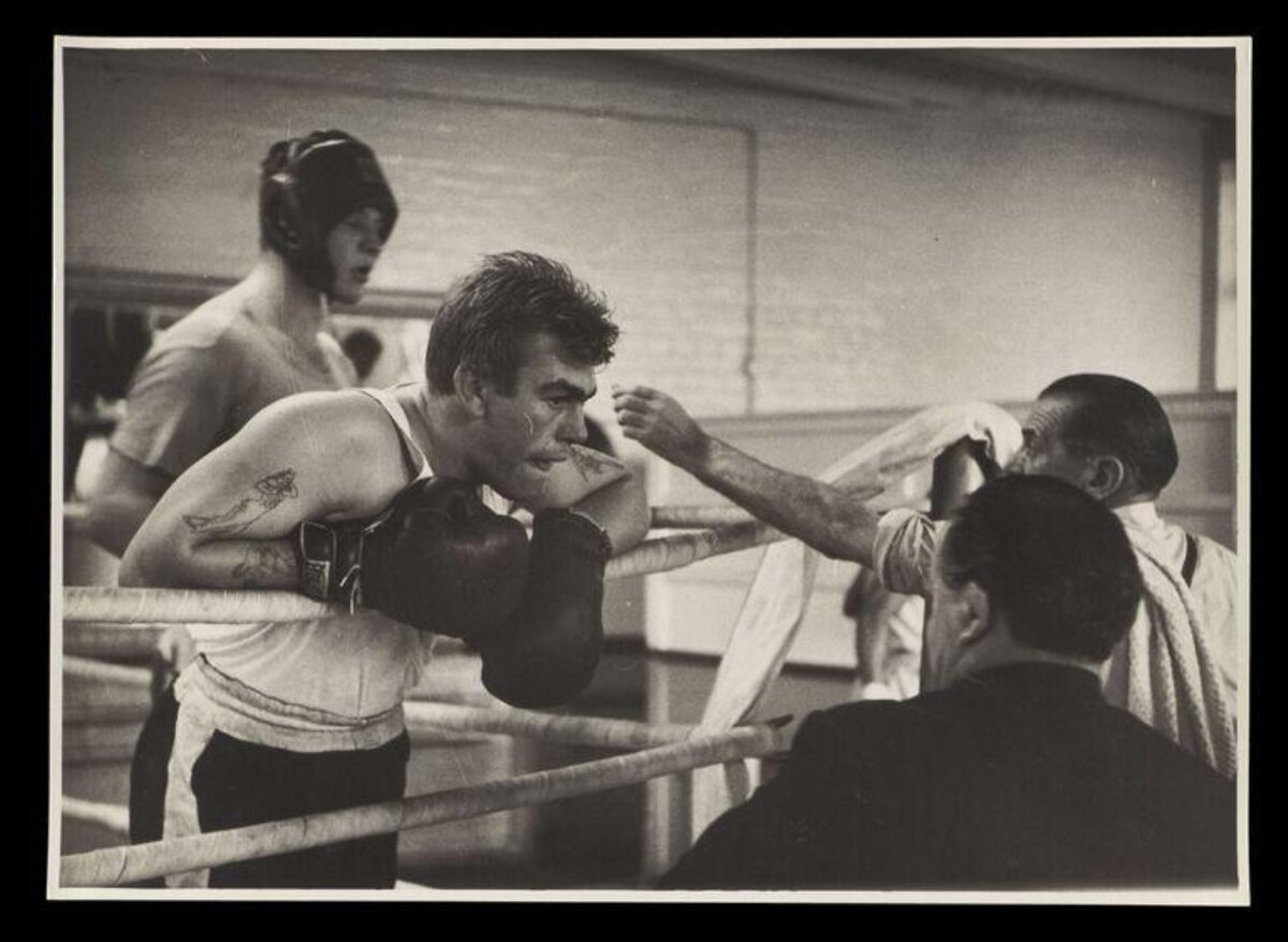 Boxer Resting in Boxing Ring Corner