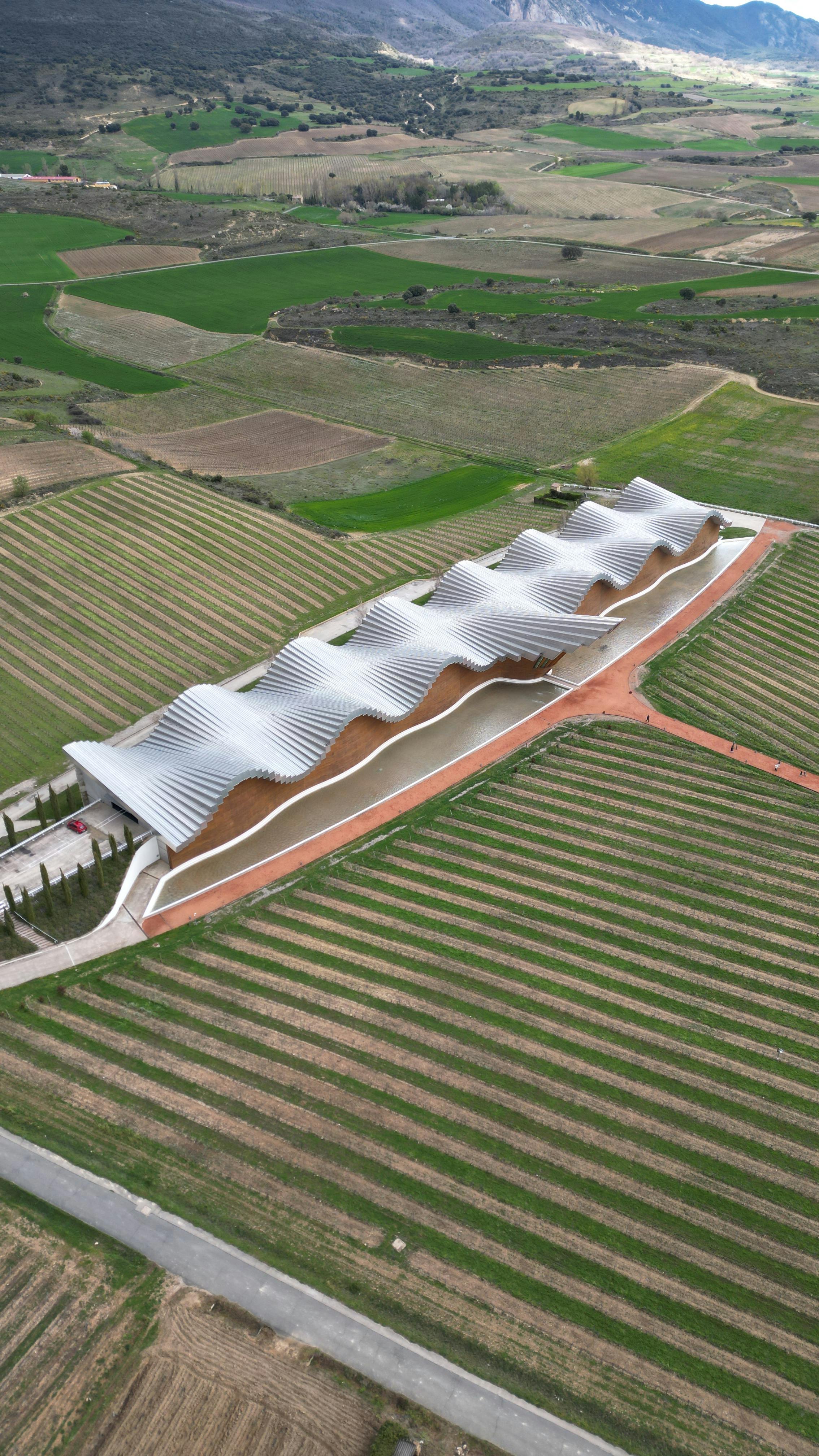 Wavy Modern Winery in Vineyards